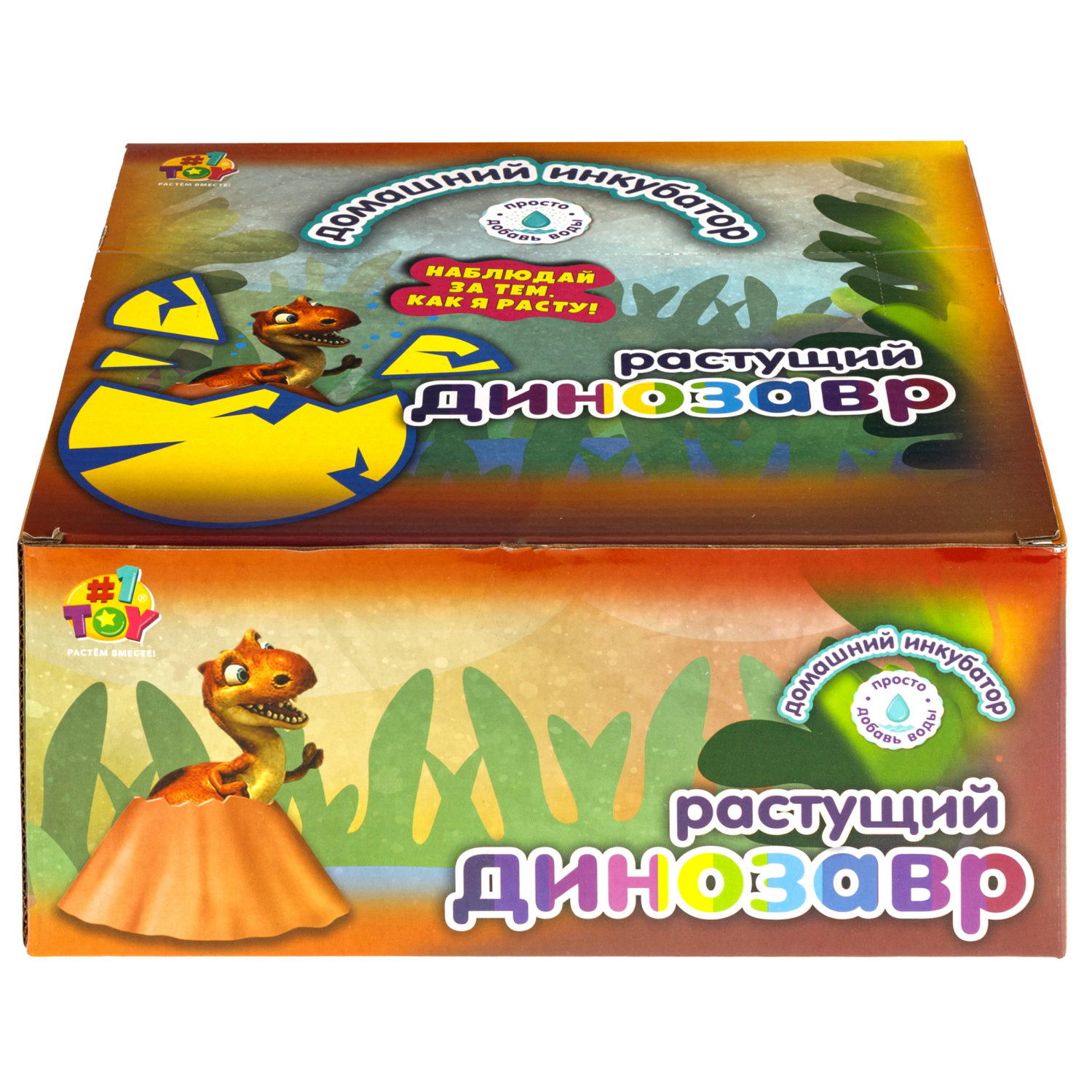 Набор для выращивания 1TOY Домашний инкубатор, растущая игрушка Динозавр
