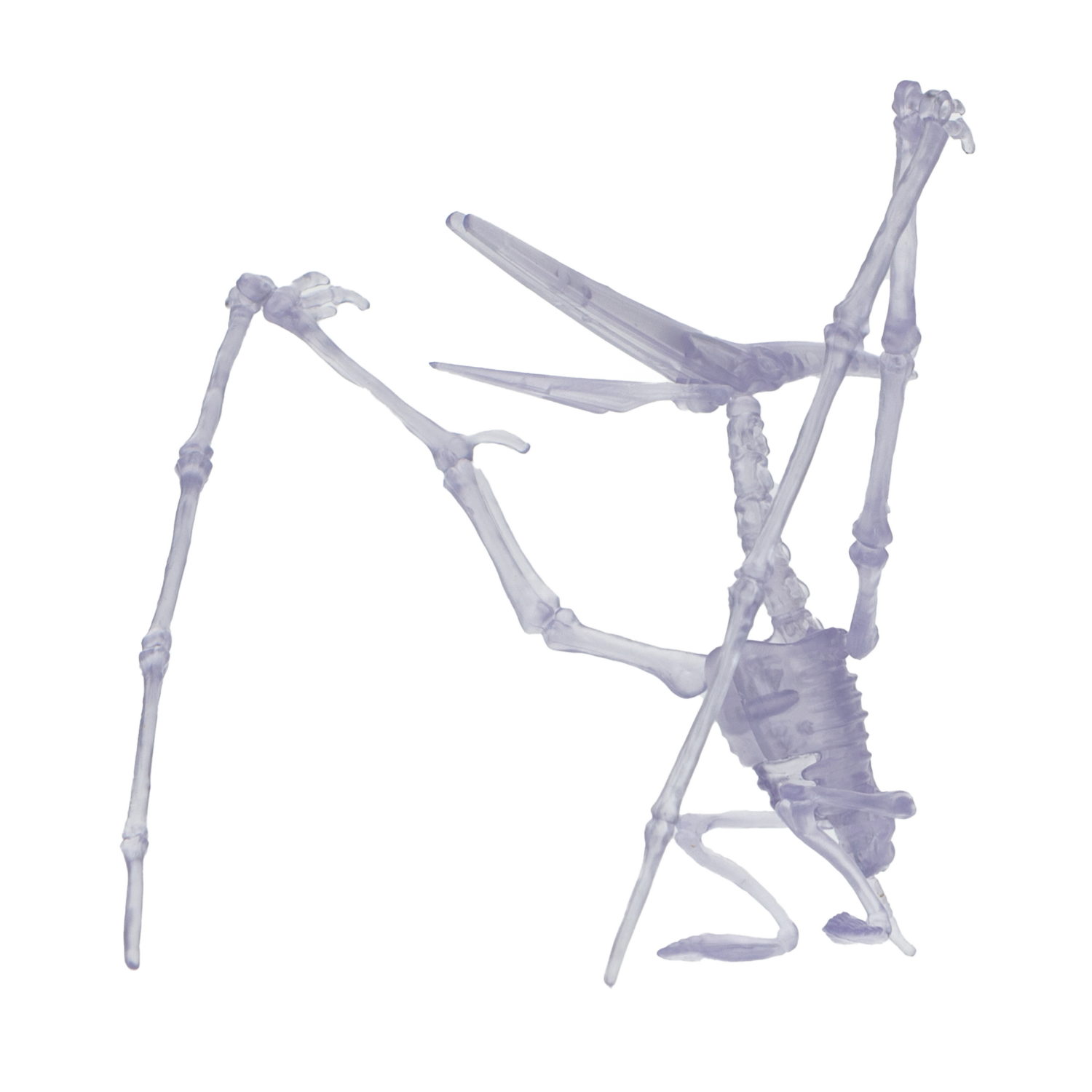 1toy "3DINO LUMINUS", люминесцентные динозавры, 6 видов, 12 шт/дисплей бокс