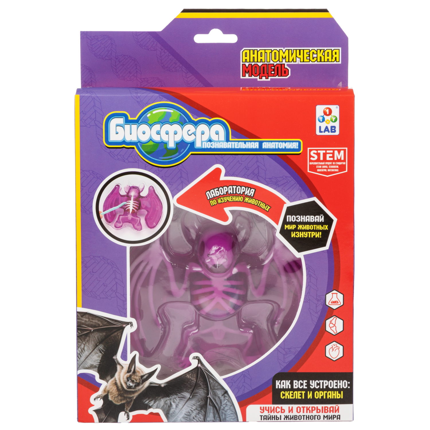 Игровой набор 1TOY LAB БИОсфера Познавательная анатомия Летучая мышь