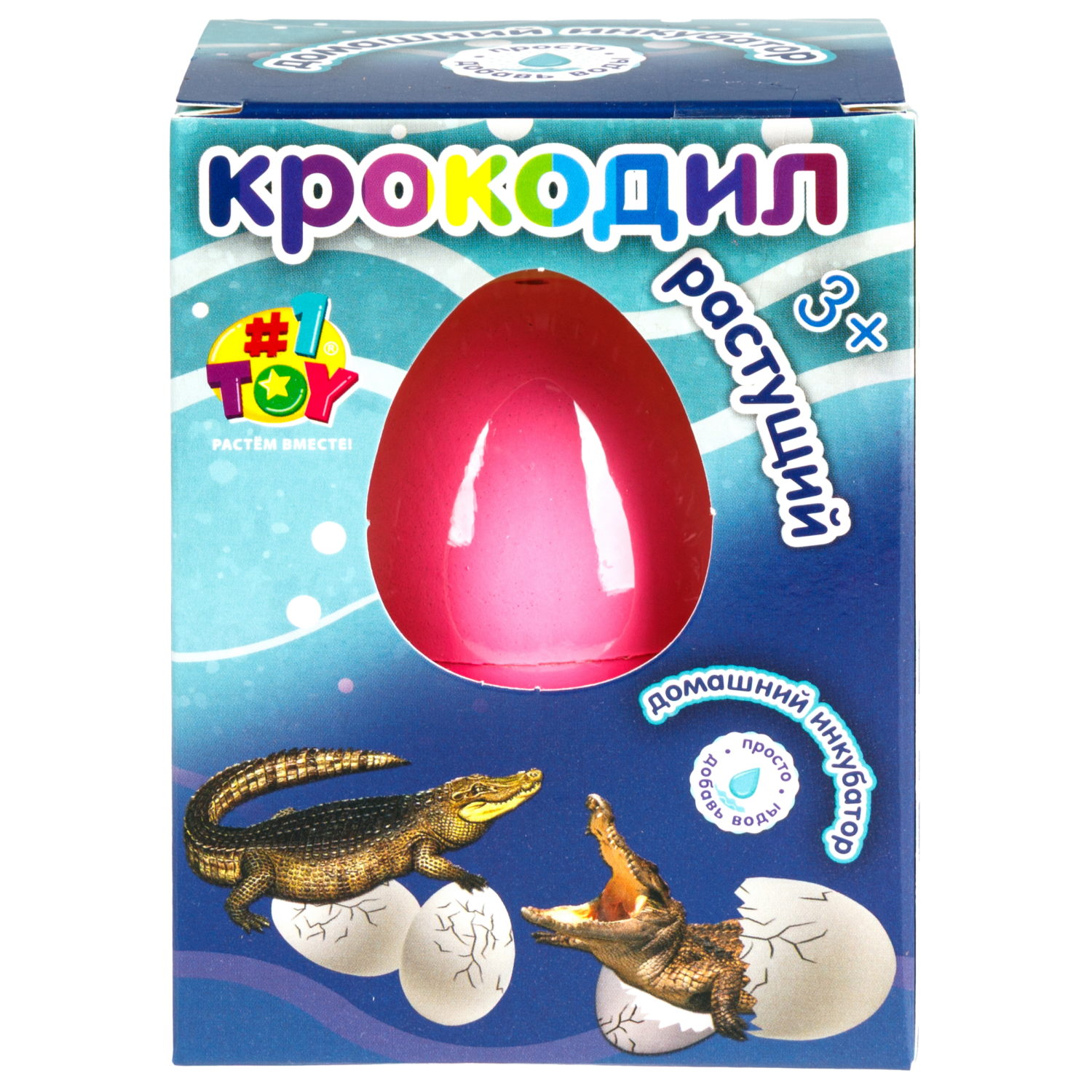 Набор для выращивания 1TOY Домашний инкубатор, растущая игрушка Крокодил
