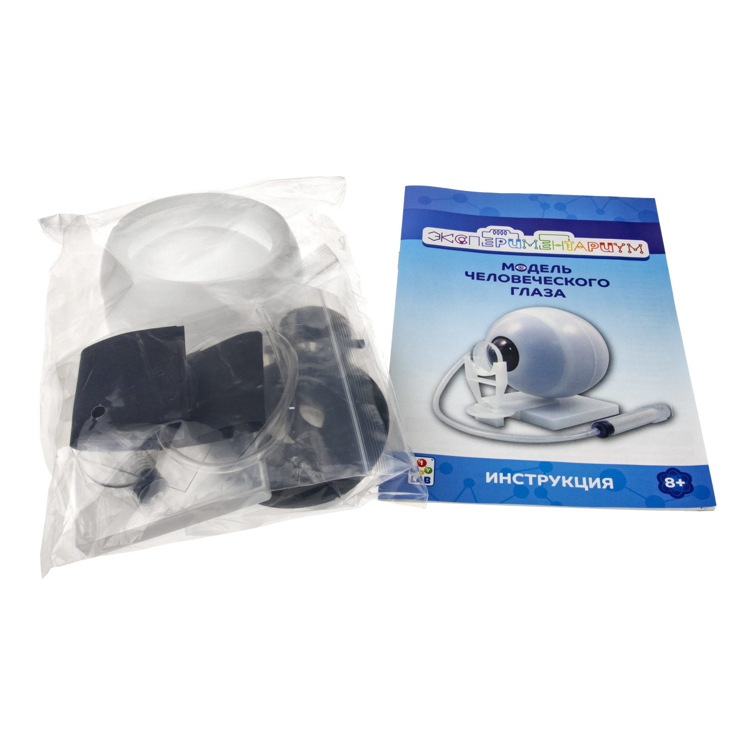 Научный набор для опытов 1TOY ЭКСПЕРИМЕНТАРИУМ Модель глаза, эксперименты для детей, подарок для мальчиков и девочек, интересные штучки, конструктор