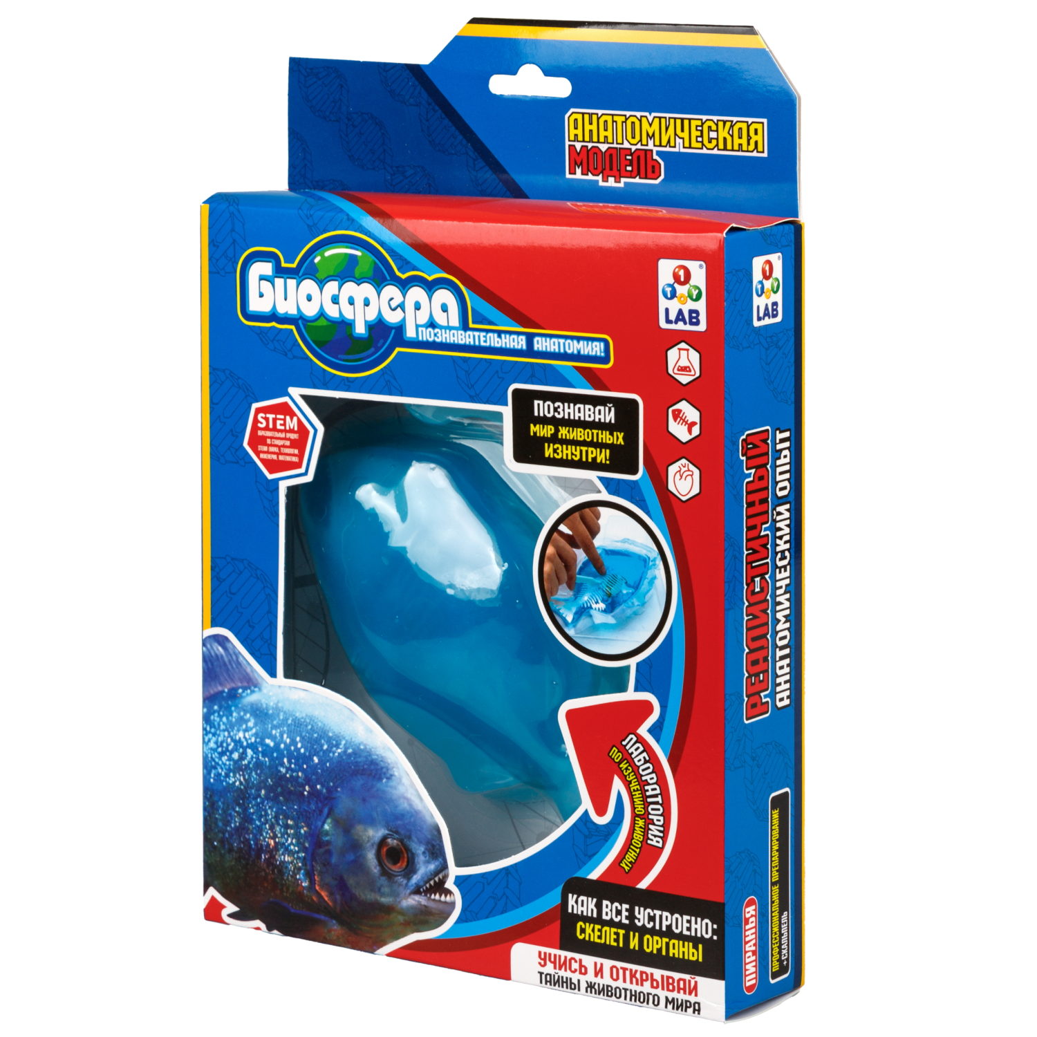 Игровой набор 1TOY LAB БИОсфера Познавательная анатомия Пиранья