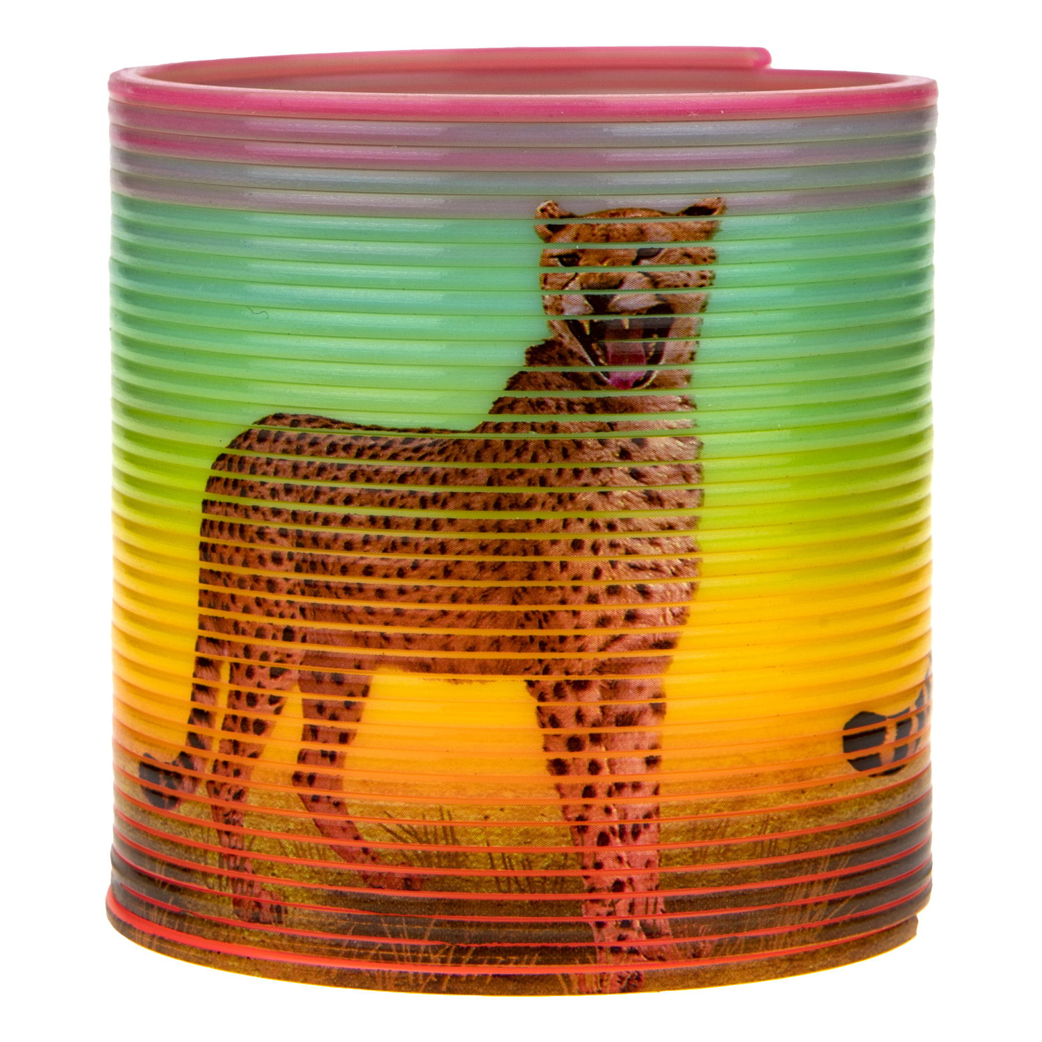 Пружинка радуга 1TOY «Радуга-дуга» Сафари, 6,5*6,5 см, 4 вида в ассортименте