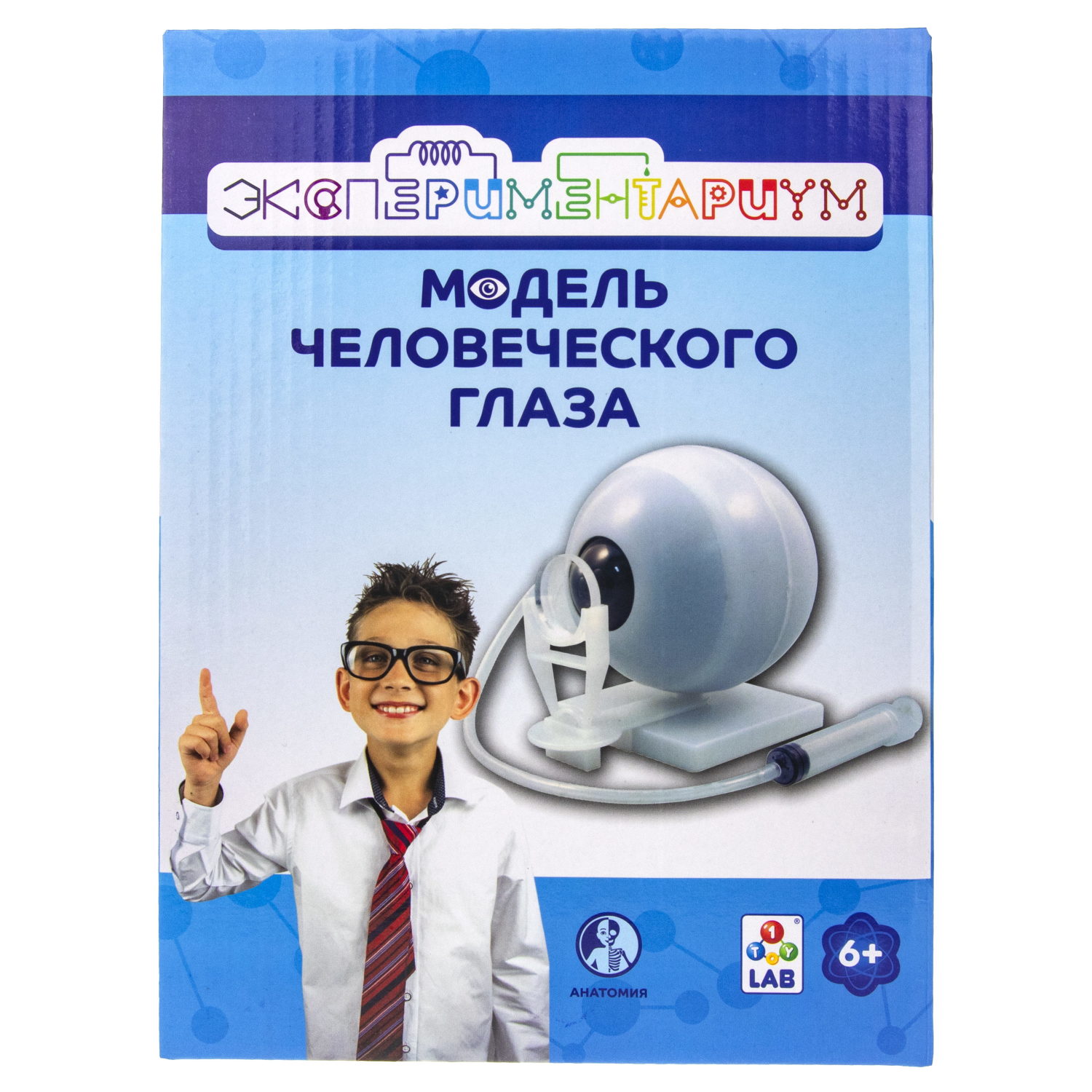Научный набор для опытов 1TOY ЭКСПЕРИМЕНТАРИУМ Модель глаза, эксперименты для детей, подарок для мальчиков и девочек, интересные штучки, конструктор