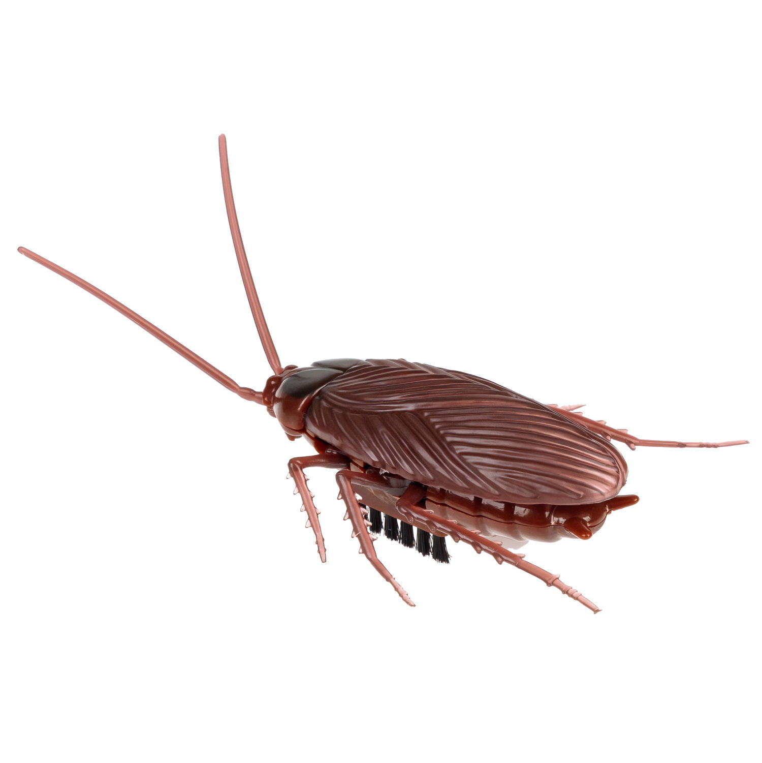 Интерактивная игрушка на батарейках 1TOY Robolife таракан