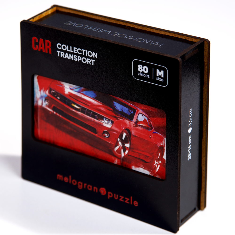 Деревянные пазлы Collection Transport Автомобиль  спортивный, 80 деталей, 28х14 см