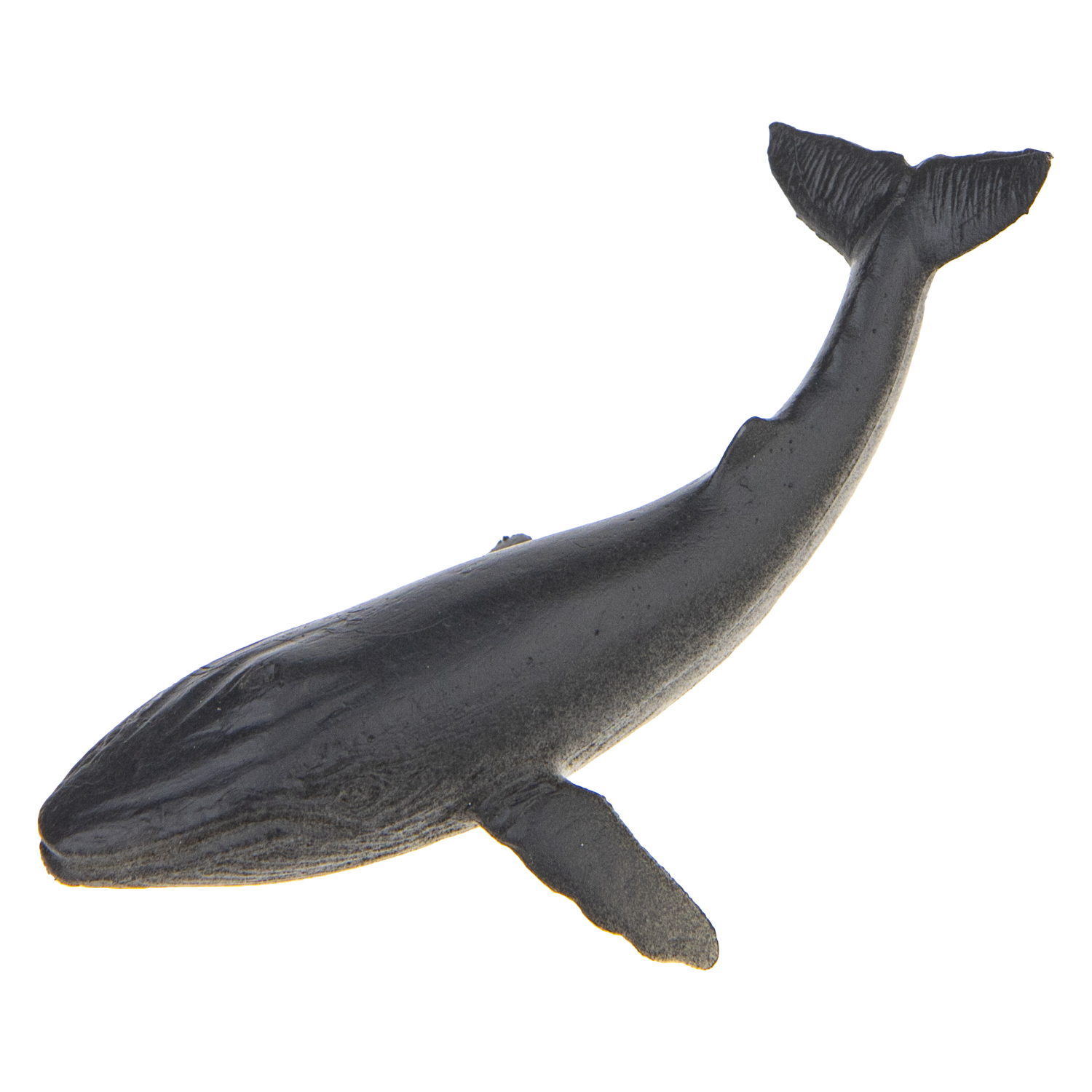 Набор фигурок 1TOY "В мире животных", морские животные океанов, 8 шт., 5 см