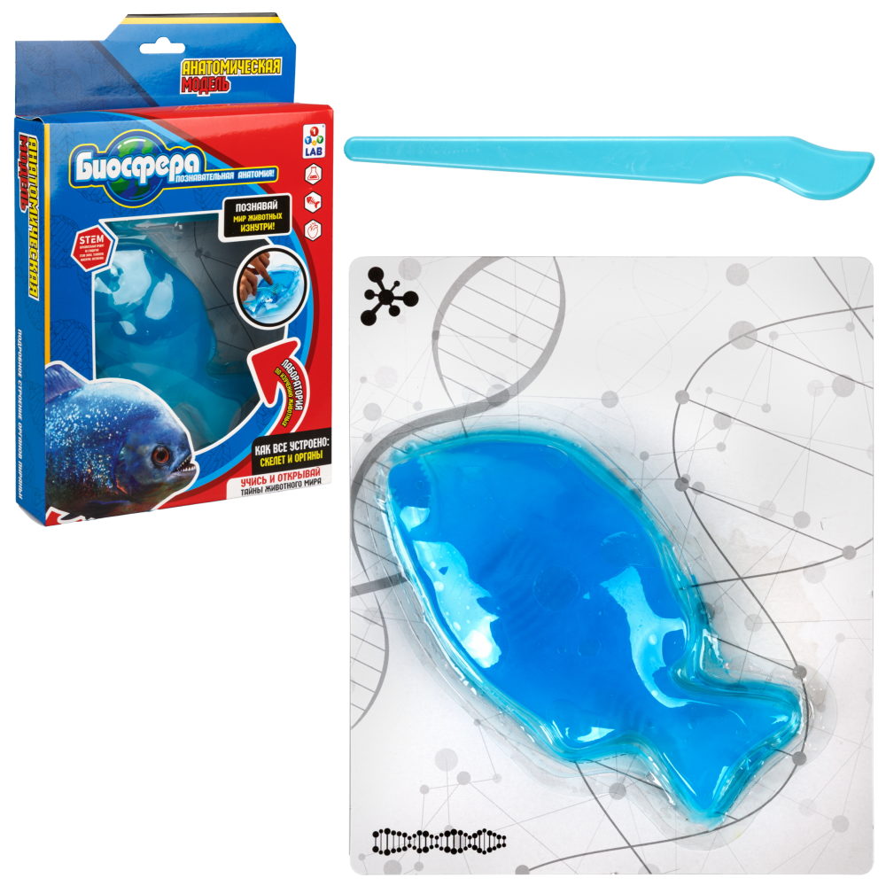 Игровой набор 1TOY LAB БИОсфера Познавательная анатомия Пиранья