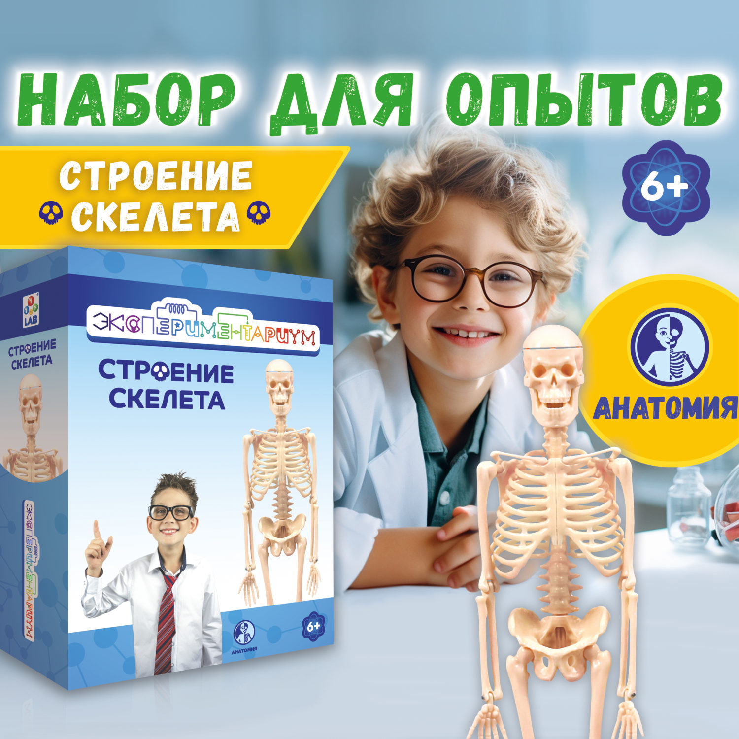 Научный набор для опытов 1TOY ЭКСПЕРИМЕНТАРИУМ Строение скелета, эксперименты для детей, подарок для мальчиков и девочек, интересные штучки