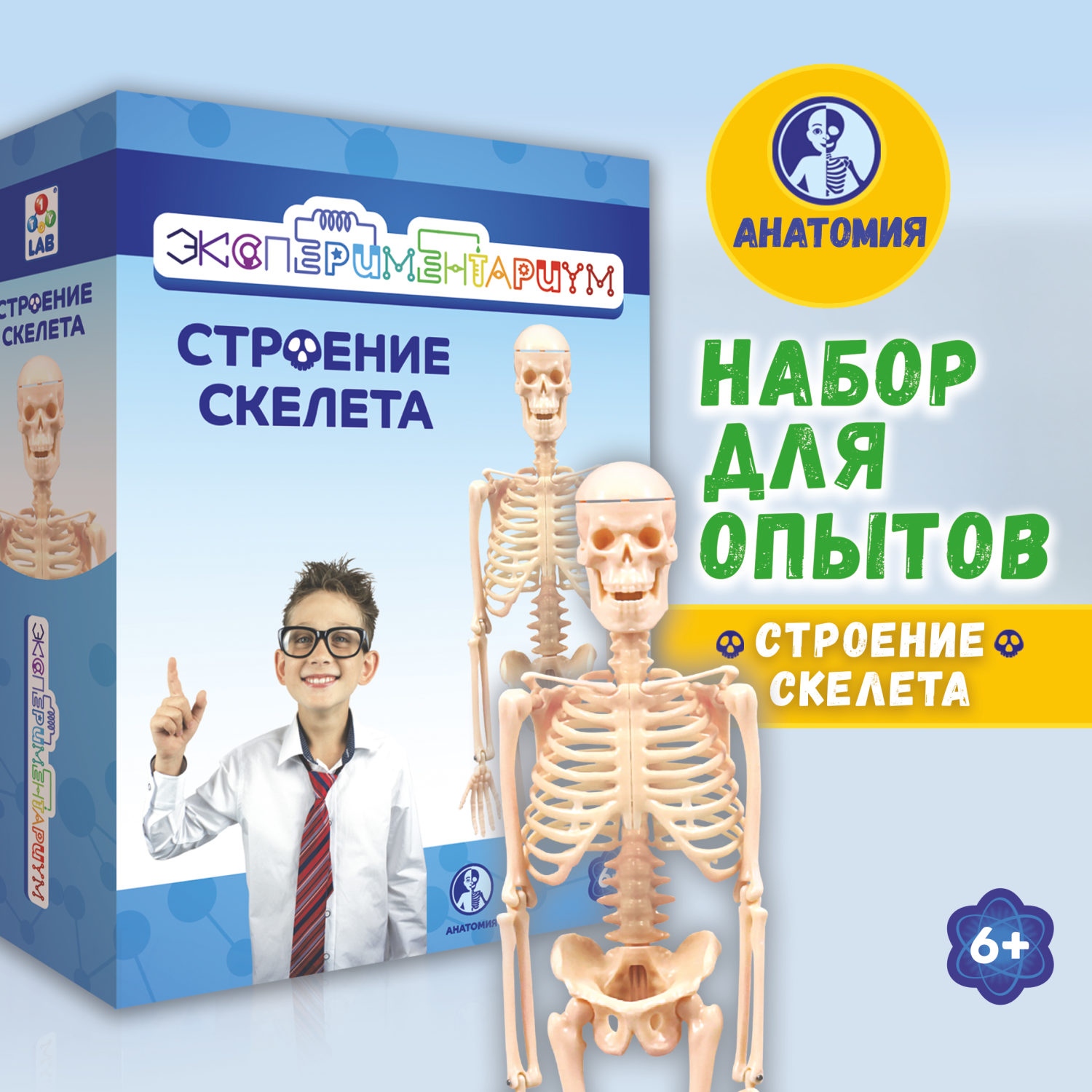 Научный набор для опытов 1TOY ЭКСПЕРИМЕНТАРИУМ Строение скелета, эксперименты для детей, подарок для мальчиков и девочек, интересные штучки