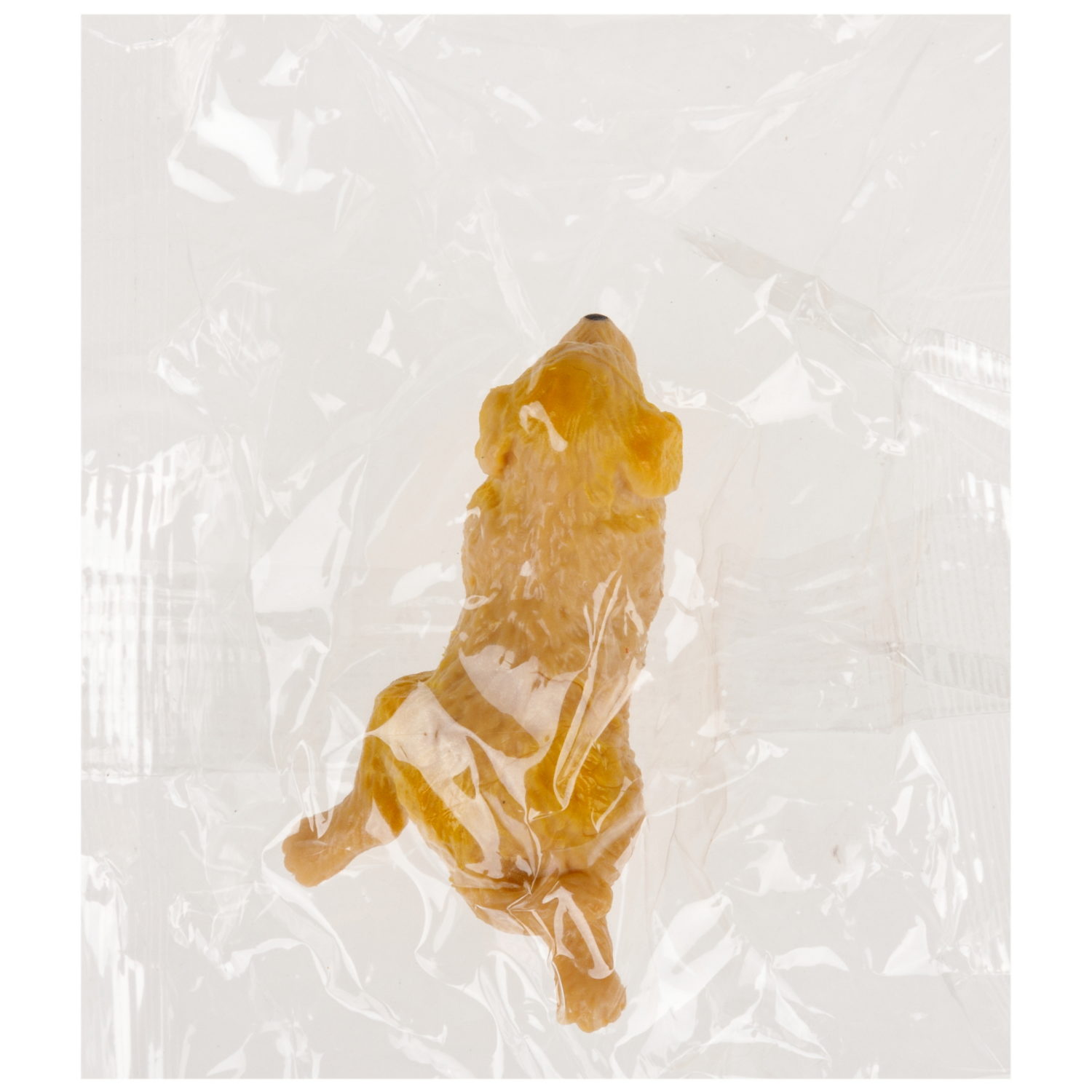 1TOY игровой набор Собачка с аксессуарами, в шаре, 6 видов в ассортименте