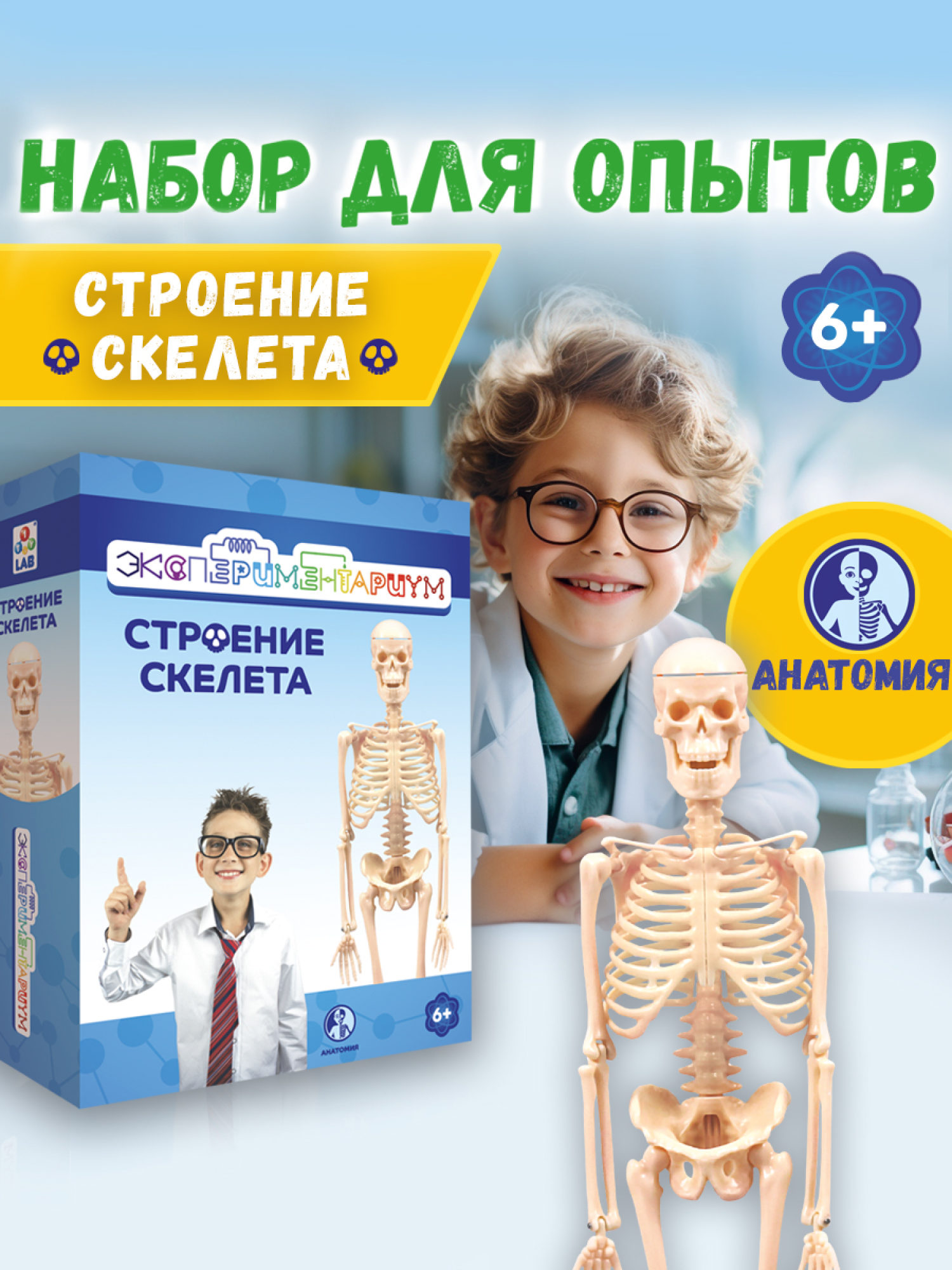 Научный набор для опытов 1TOY ЭКСПЕРИМЕНТАРИУМ Строение скелета, эксперименты для детей, подарок для мальчиков и девочек, интересные штучки