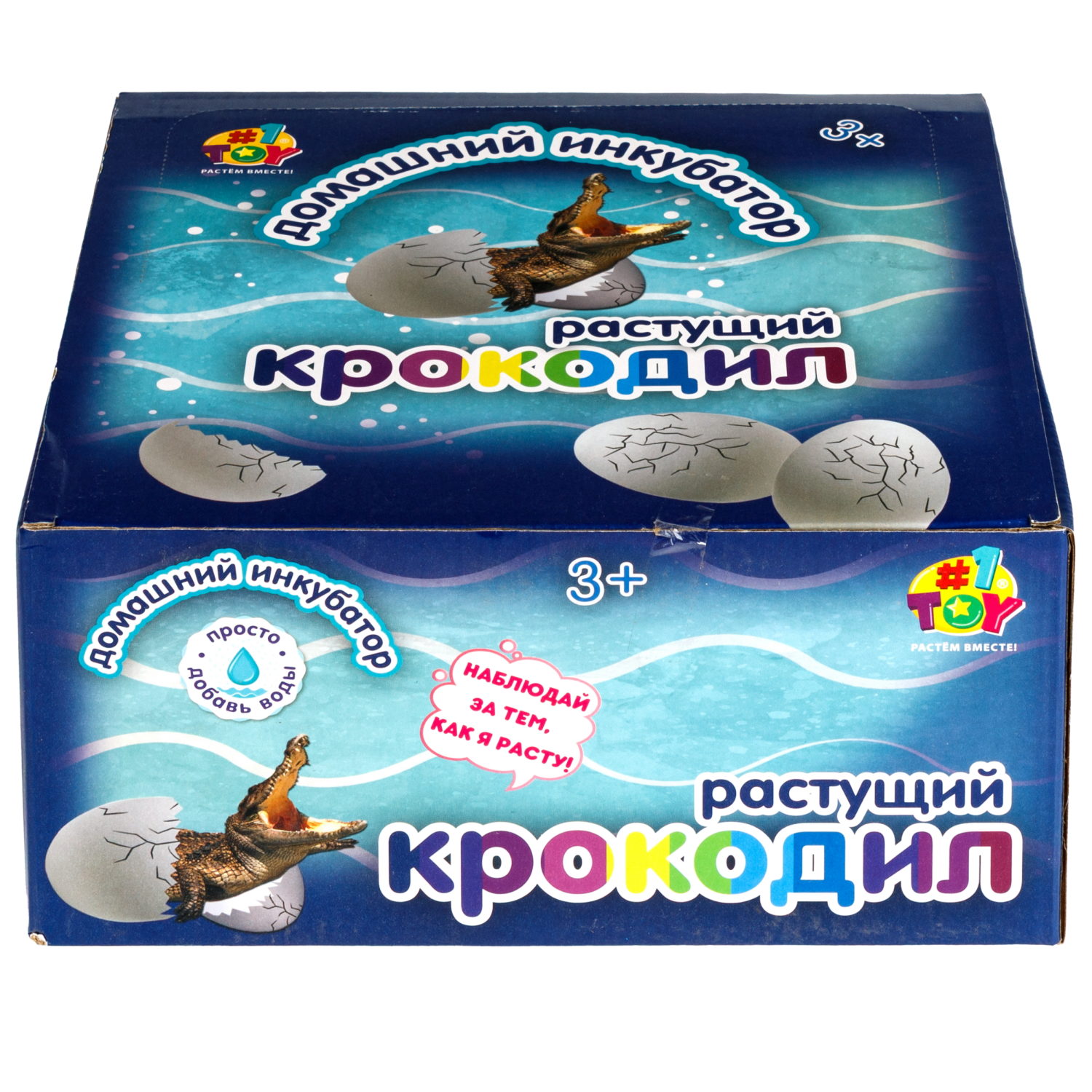 Набор для выращивания 1TOY Домашний инкубатор, растущая игрушка Крокодил