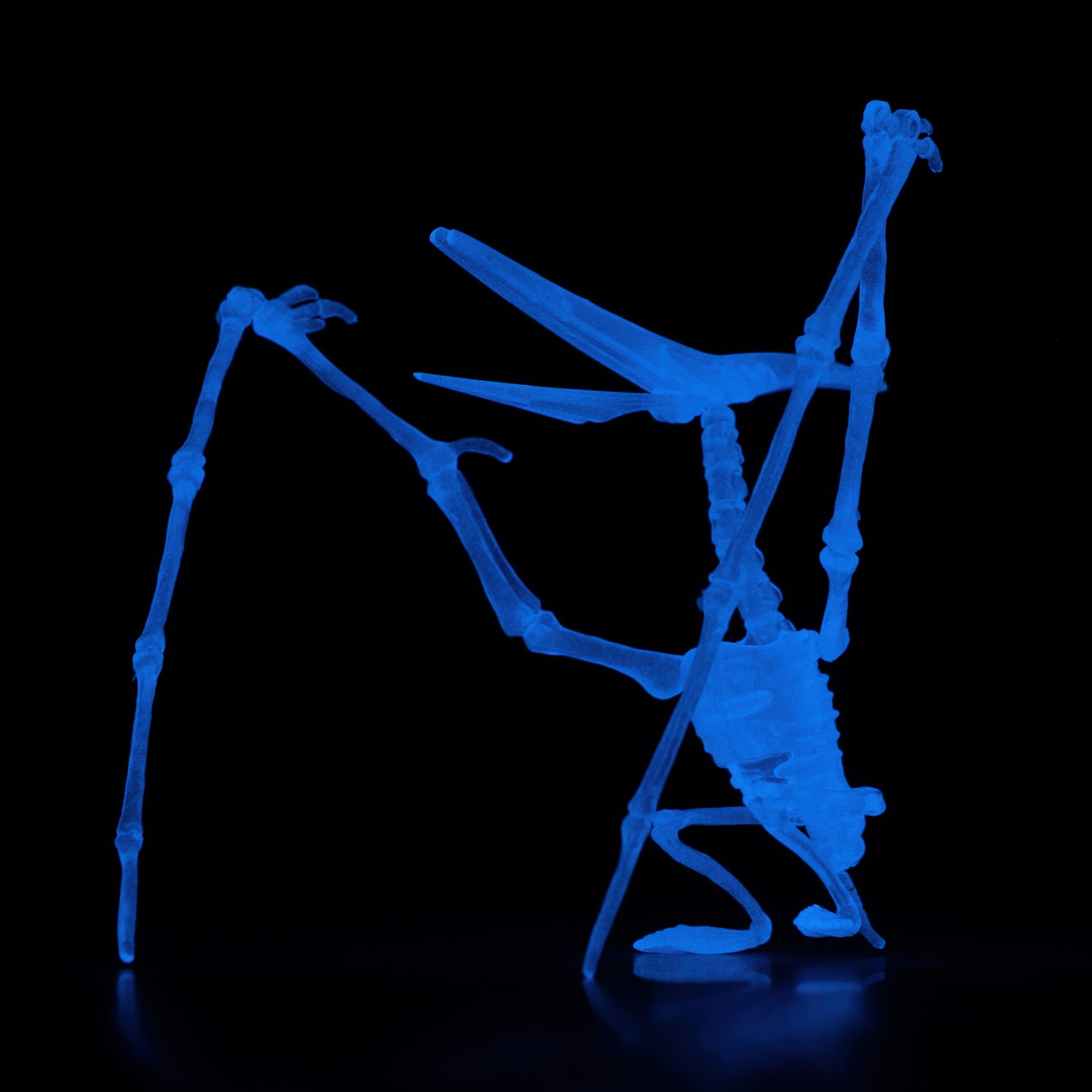 1toy "3DINO LUMINUS", люминесцентные динозавры, 6 видов, 12 шт/дисплей бокс