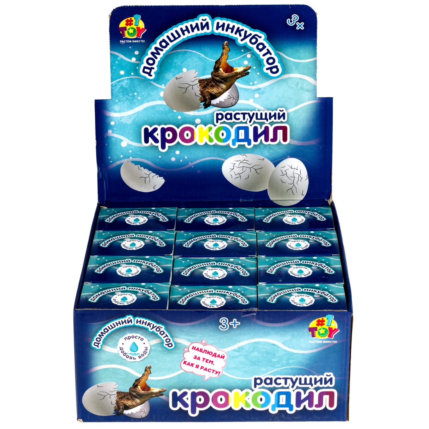 Набор для выращивания 1TOY Домашний инкубатор, растущая игрушка Крокодил