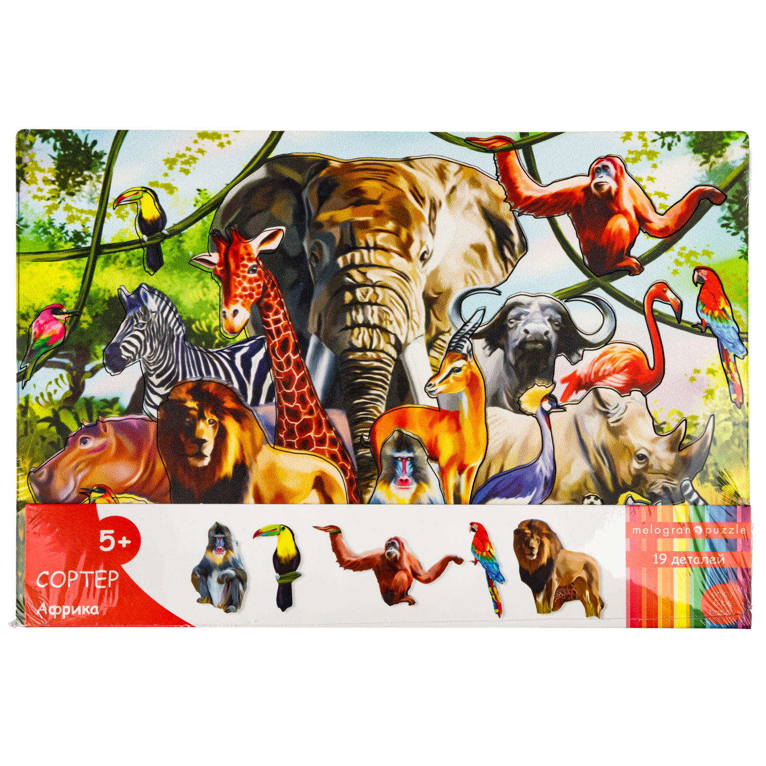 Деревянные пазлы Collection Sorter Африка, 19 деталей