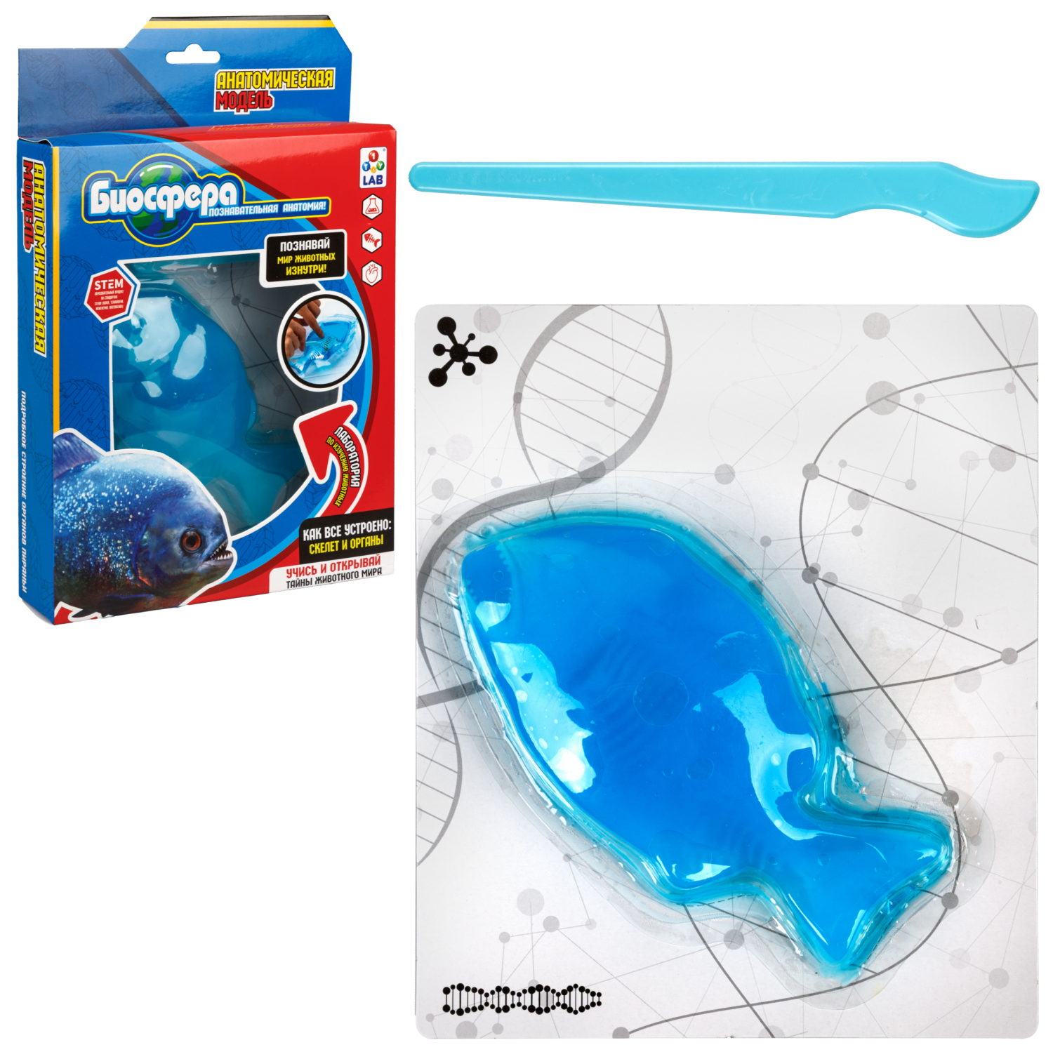 Игровой набор 1TOY LAB БИОсфера Познавательная анатомия Пиранья