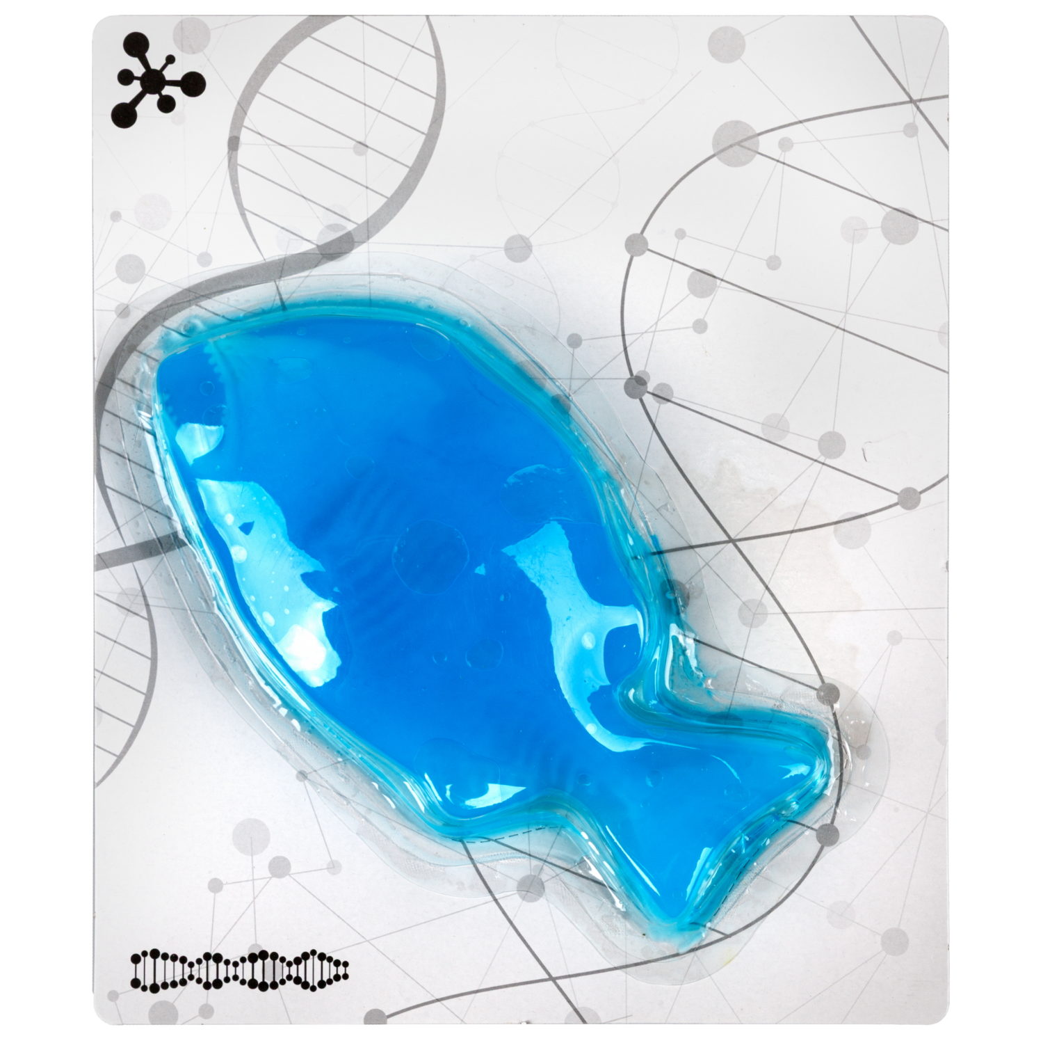 Игровой набор 1TOY LAB БИОсфера Познавательная анатомия Пиранья