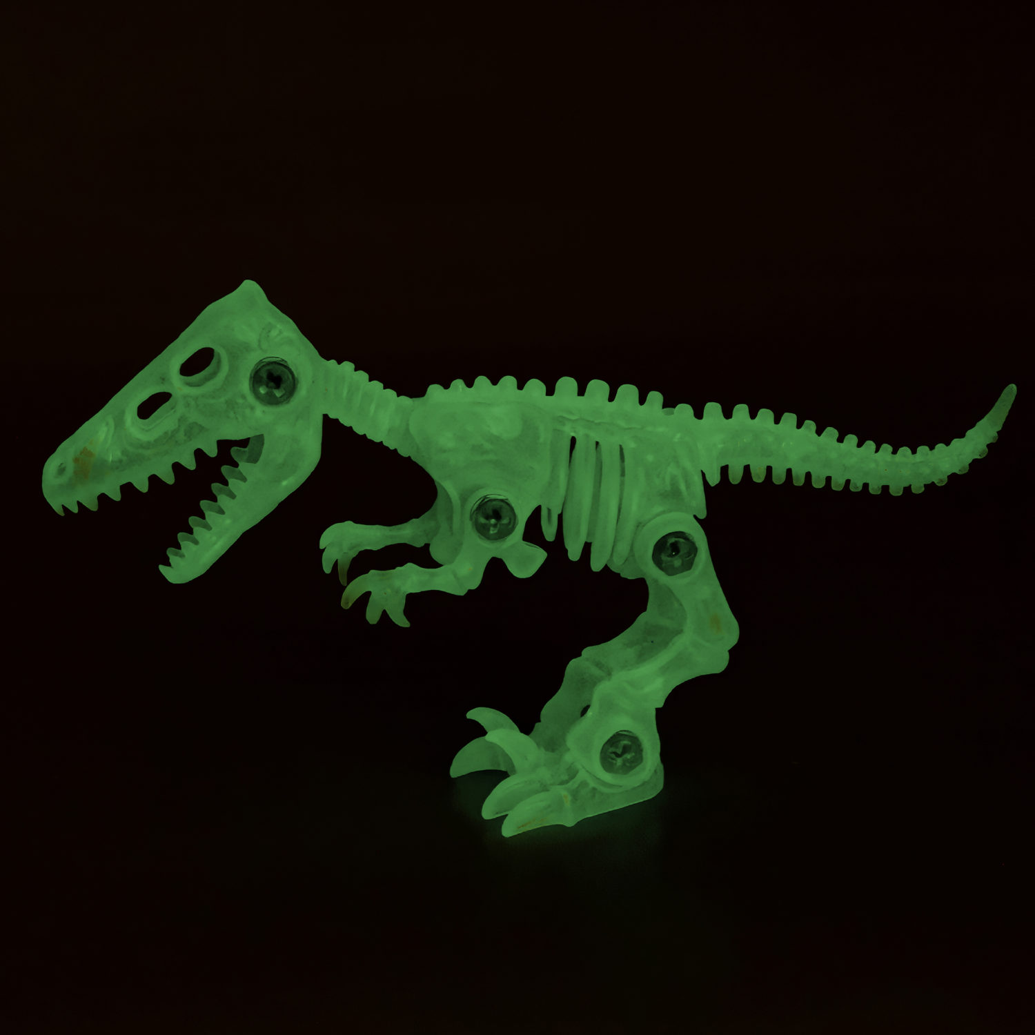 1toy "3DINO LUMINUS MAX", люминесцентные  динозавры (в асс. 2 вида, д/б 12 шт.)