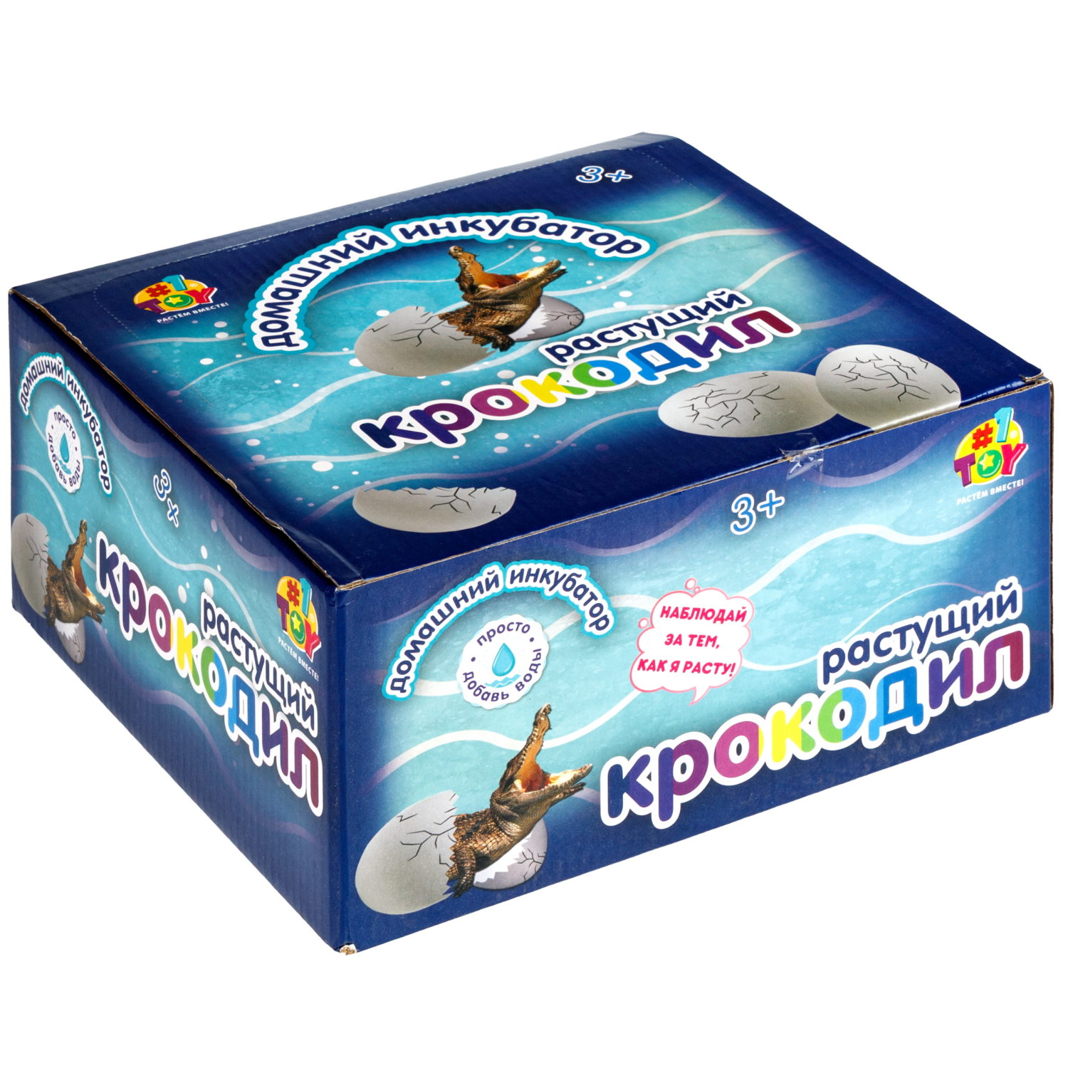 Набор для выращивания 1TOY Домашний инкубатор, растущая игрушка Крокодил