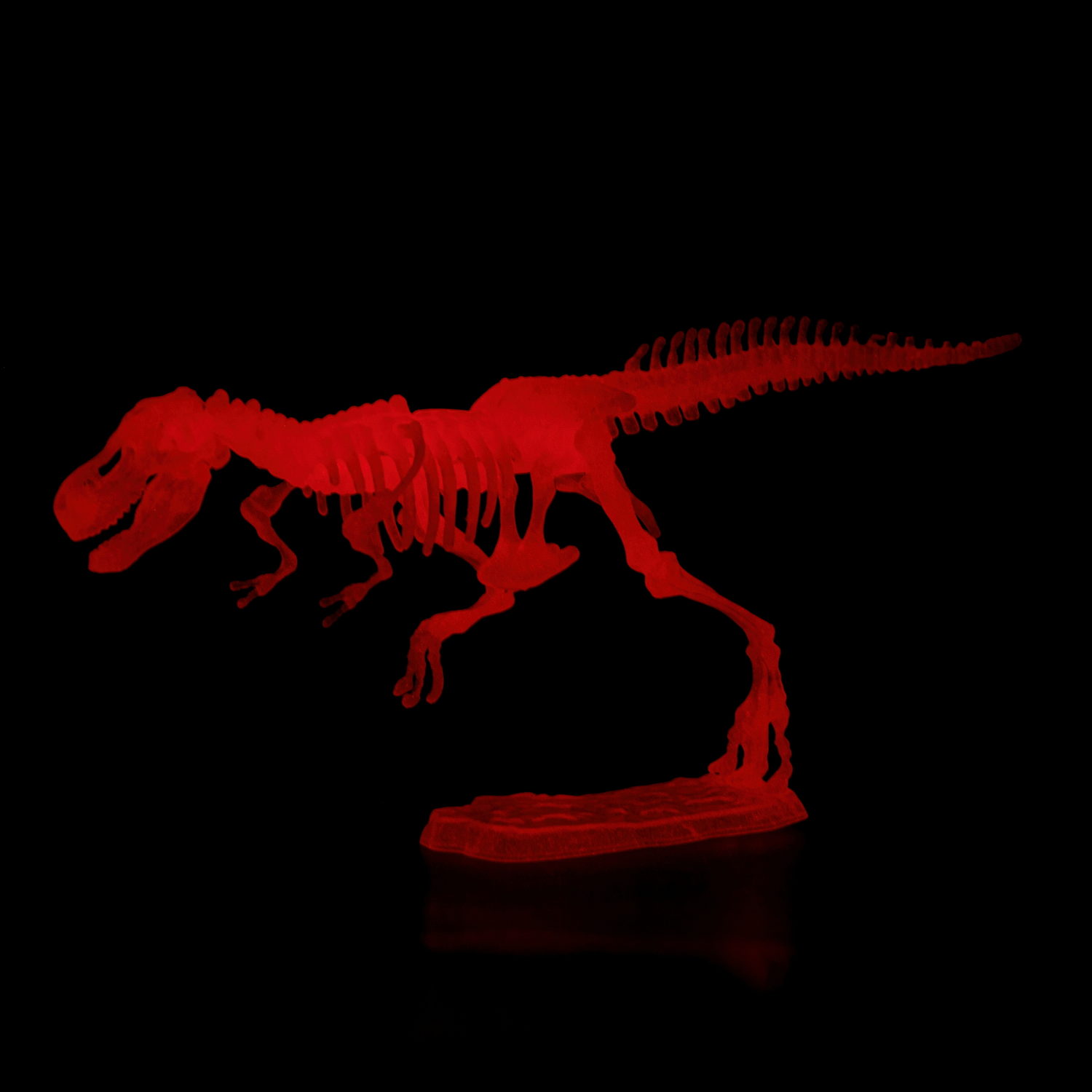 1toy "3DINO LUMINUS", люминесцентные динозавры, 6 видов, 12 шт/дисплей бокс