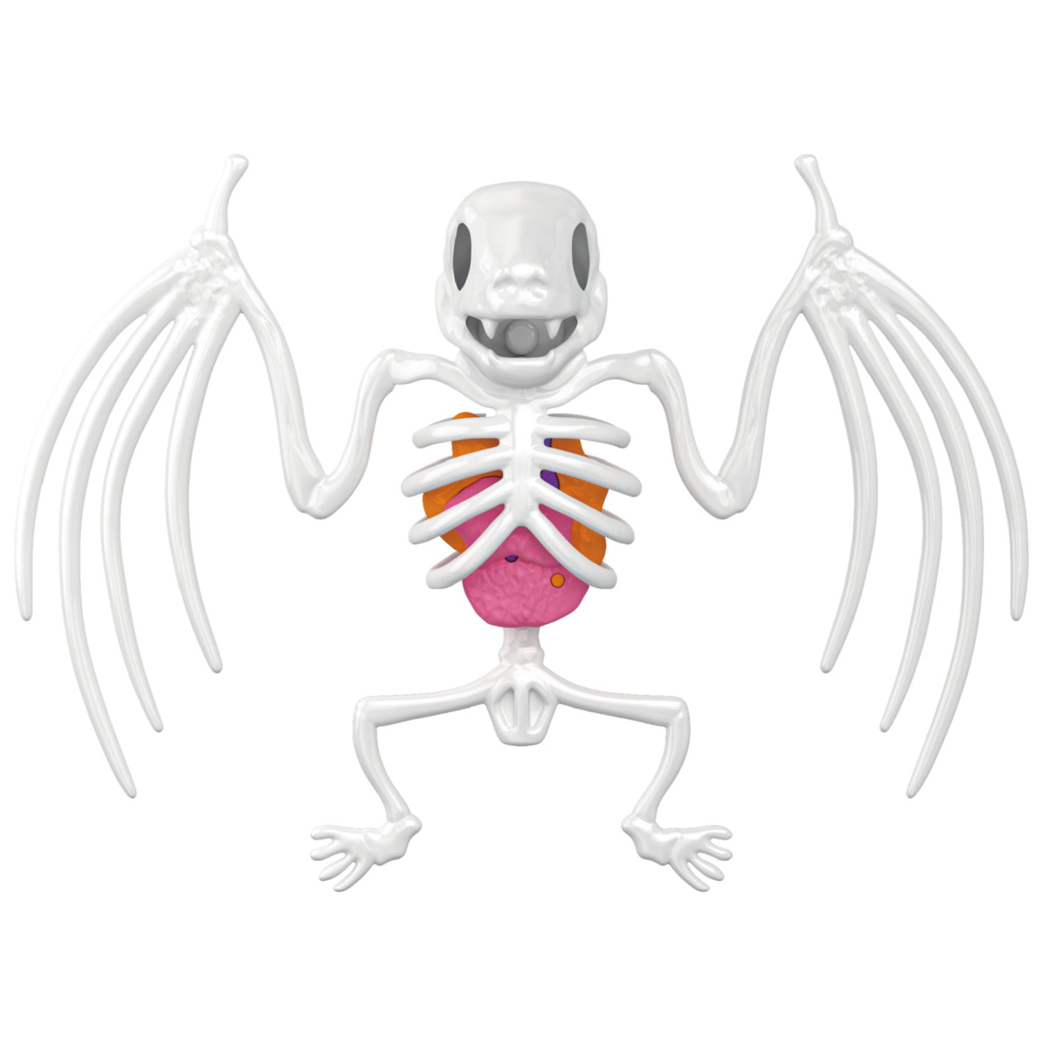 Игровой набор 1TOY LAB БИОсфера Познавательная анатомия Летучая мышь