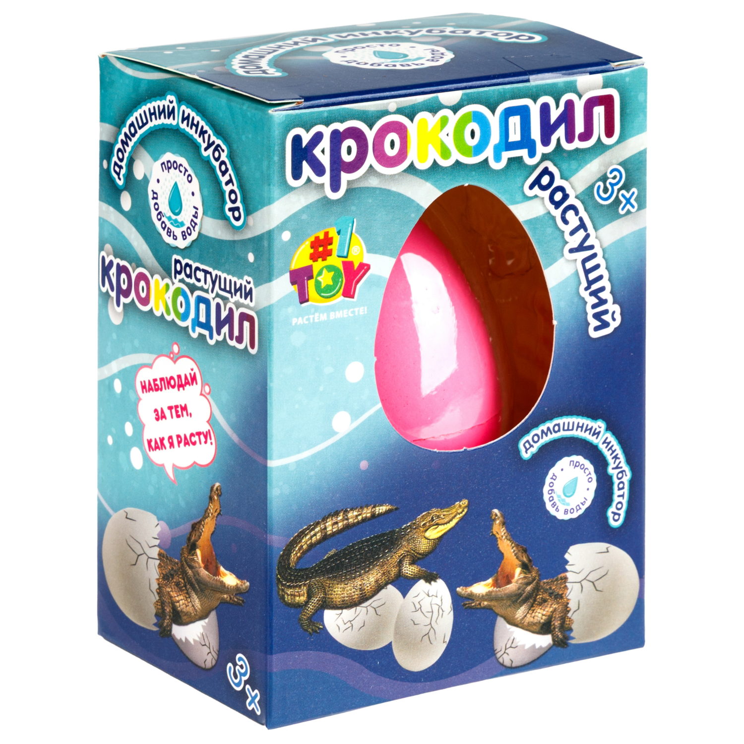 Набор для выращивания 1TOY Домашний инкубатор, растущая игрушка Крокодил