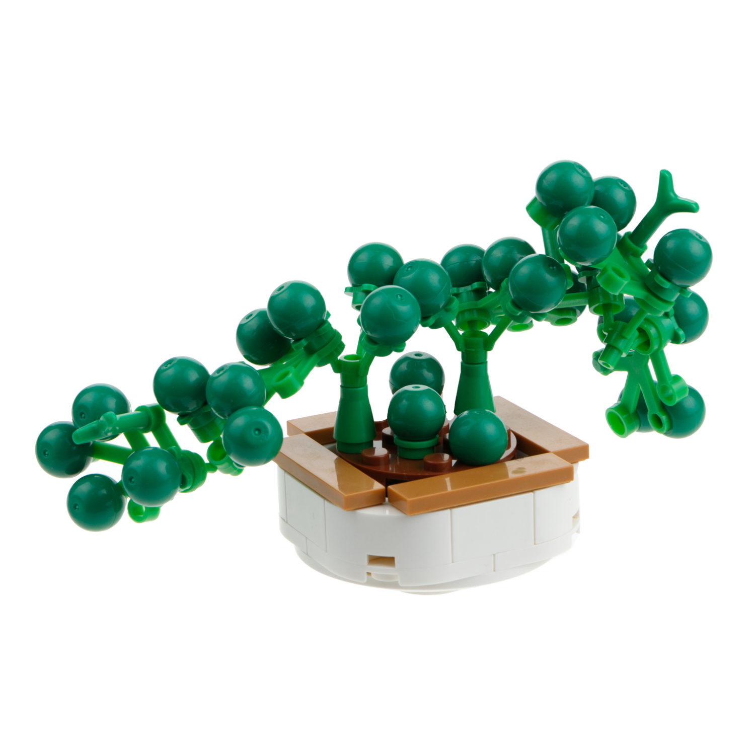 1TOY конструктор Blockformers "Цветы пустыни", 12 видов в ассортименте