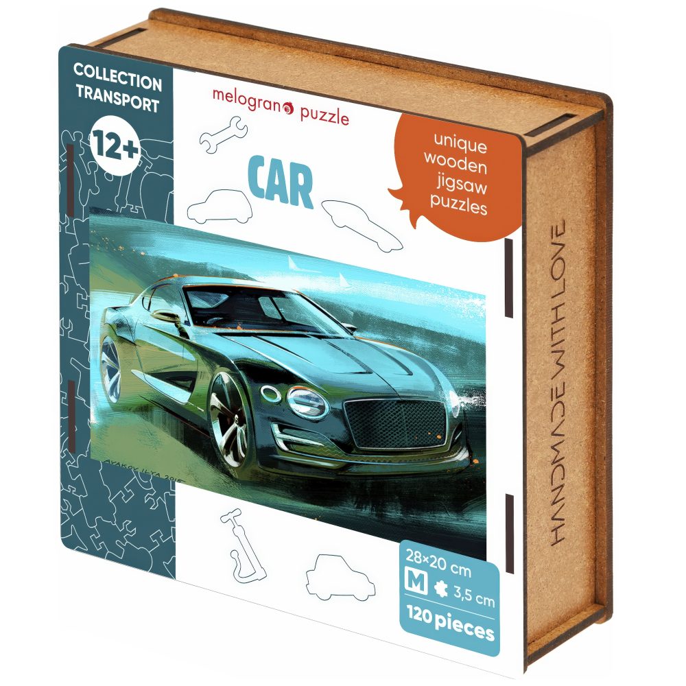 Деревянные пазлы Collection Transport Авто модное, 100 деталей, 34х20 см