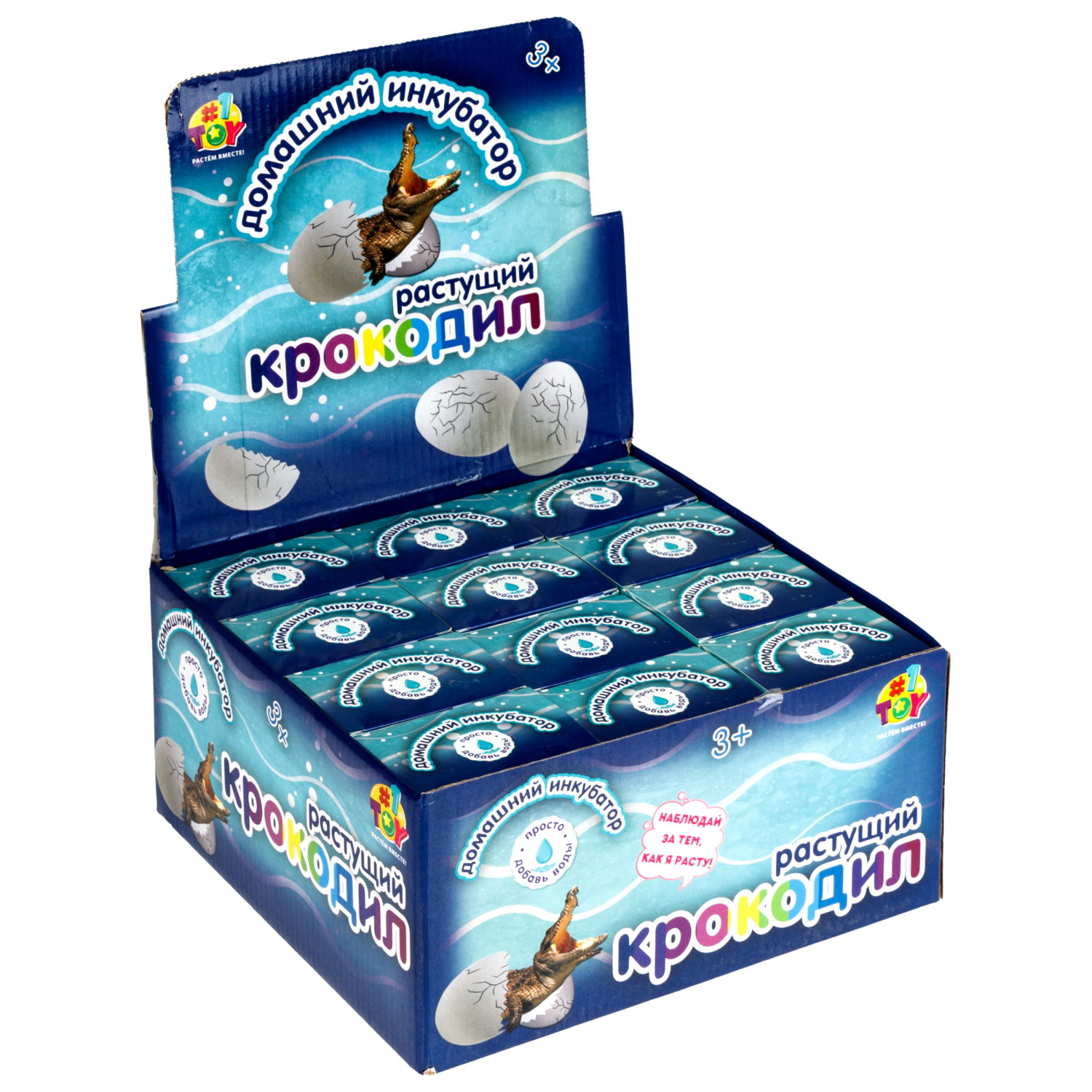 Набор для выращивания 1TOY Домашний инкубатор, растущая игрушка Крокодил