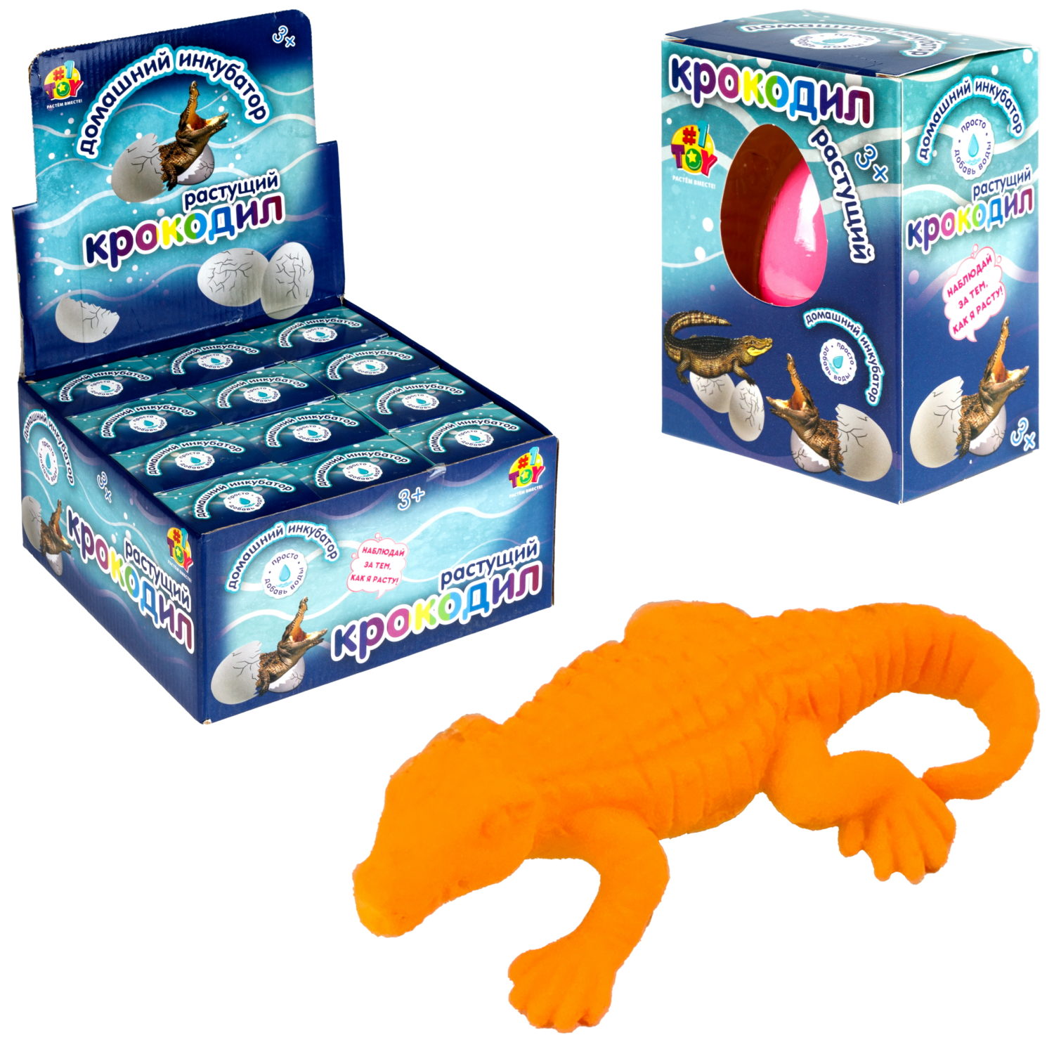 Набор для выращивания 1TOY Домашний инкубатор, растущая игрушка Крокодил