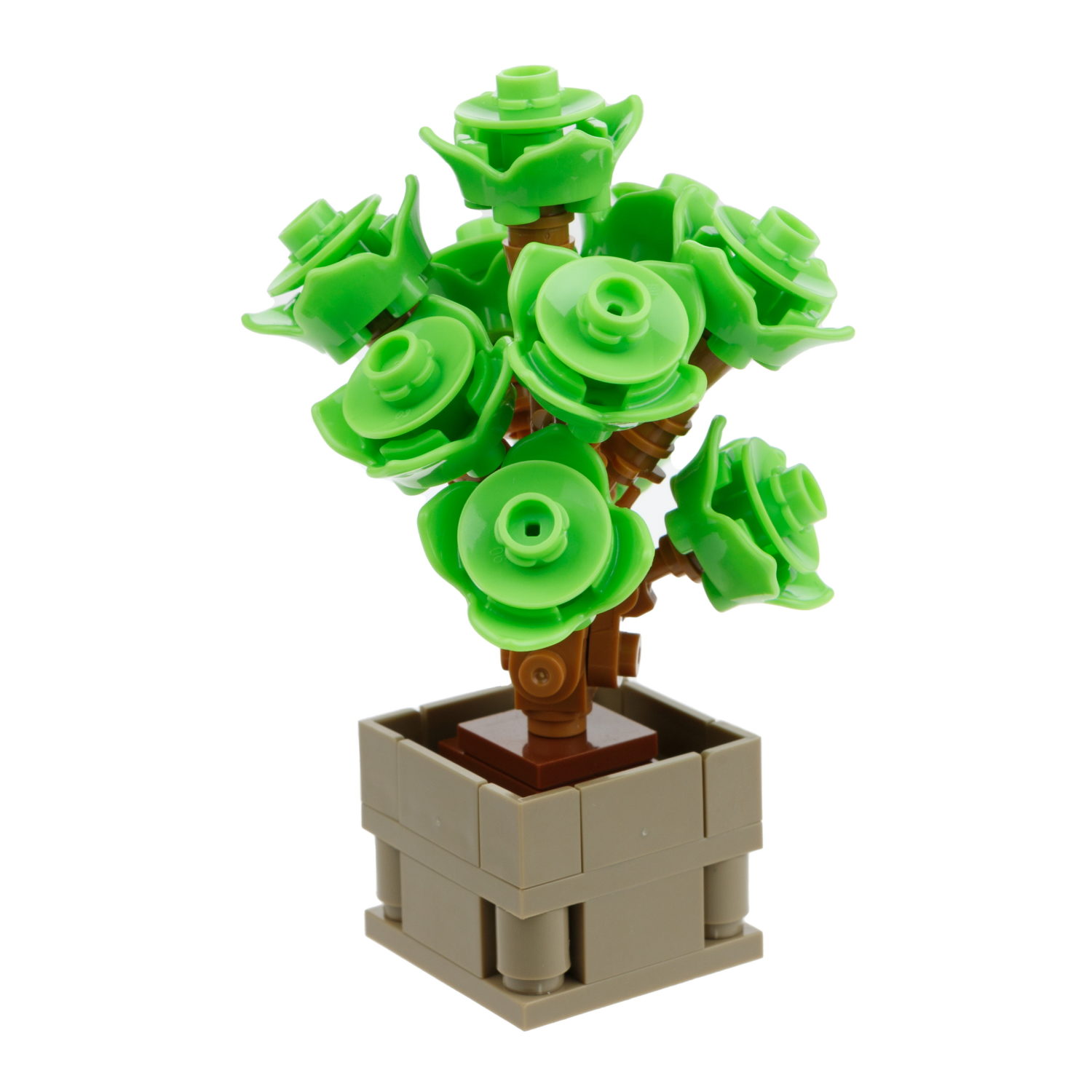 1TOY конструктор Blockformers "Цветы пустыни", 12 видов в ассортименте