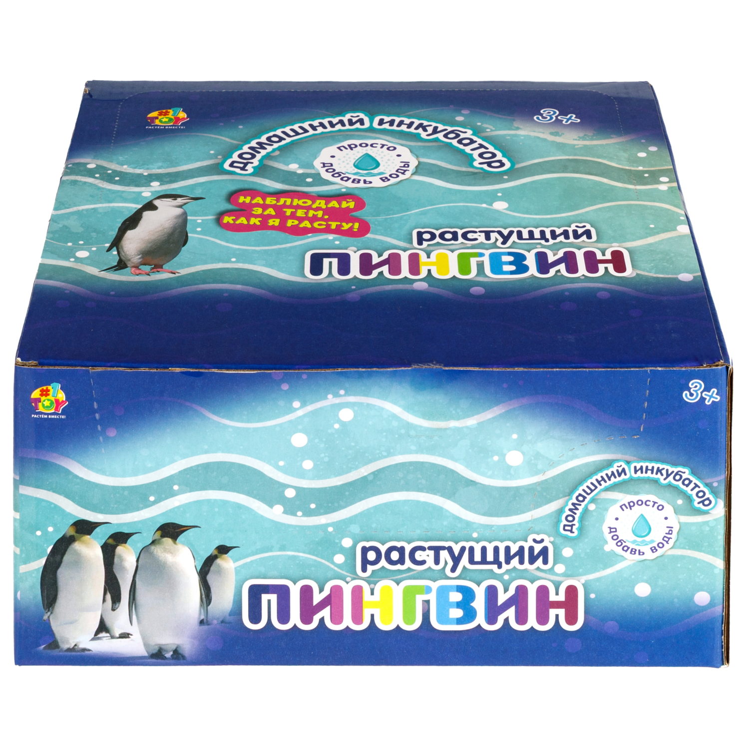 Набор для выращивания 1TOY Домашний инкубатор, растущая игрушка Пингвин