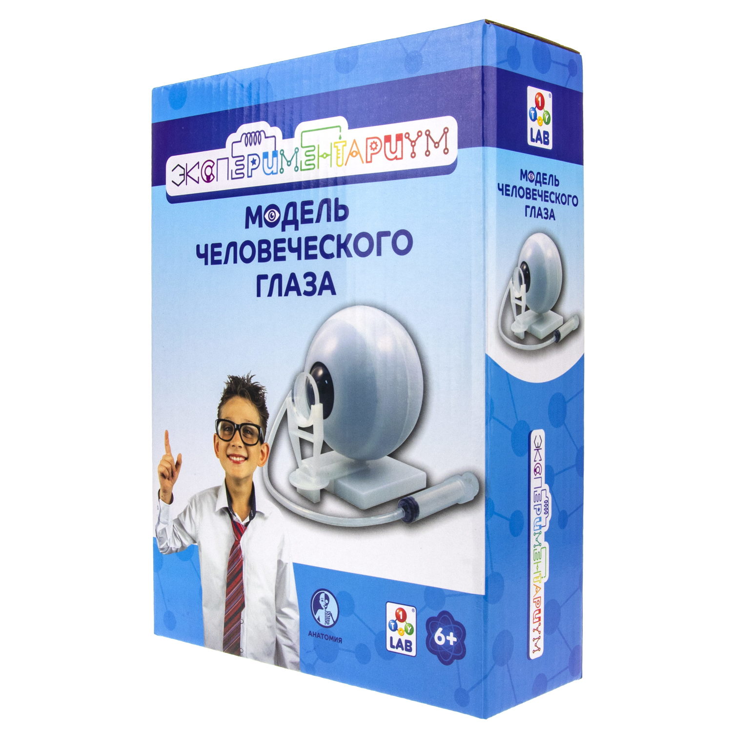 Научный набор для опытов 1TOY ЭКСПЕРИМЕНТАРИУМ Модель глаза, эксперименты для детей, подарок для мальчиков и девочек, интересные штучки, конструктор