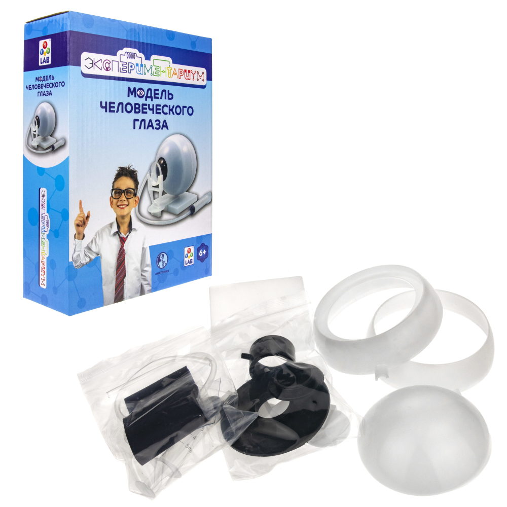 Научный набор для опытов 1TOY ЭКСПЕРИМЕНТАРИУМ Модель глаза, эксперименты для детей, подарок для мальчиков и девочек, интересные штучки, конструктор