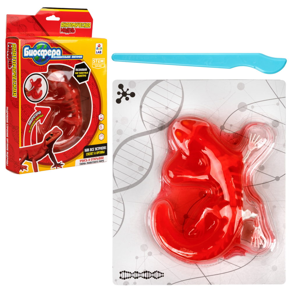 Игровой набор 1TOY LAB БИОсфера Познавательная анатомия Ящерица