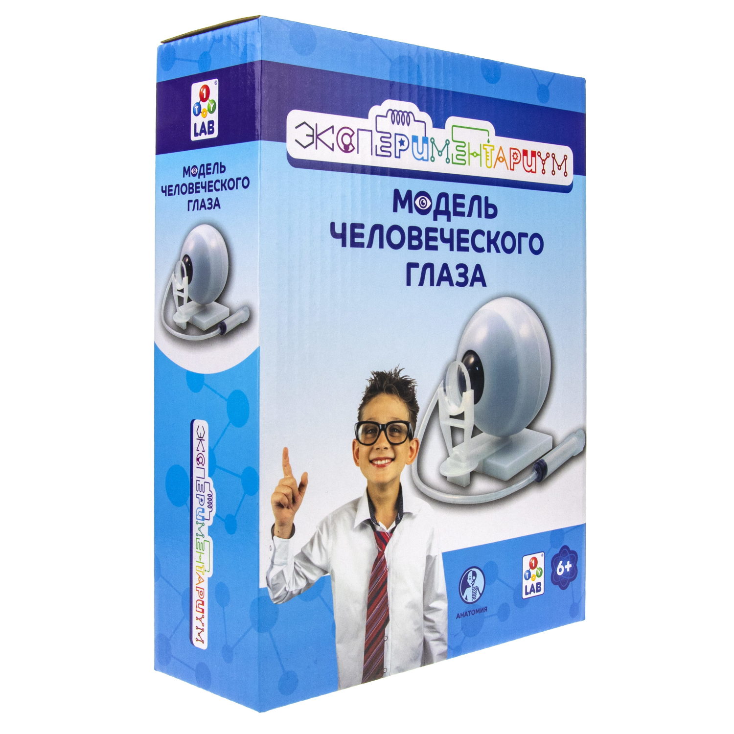 Научный набор для опытов 1TOY ЭКСПЕРИМЕНТАРИУМ Модель глаза, эксперименты для детей, подарок для мальчиков и девочек, интересные штучки, конструктор