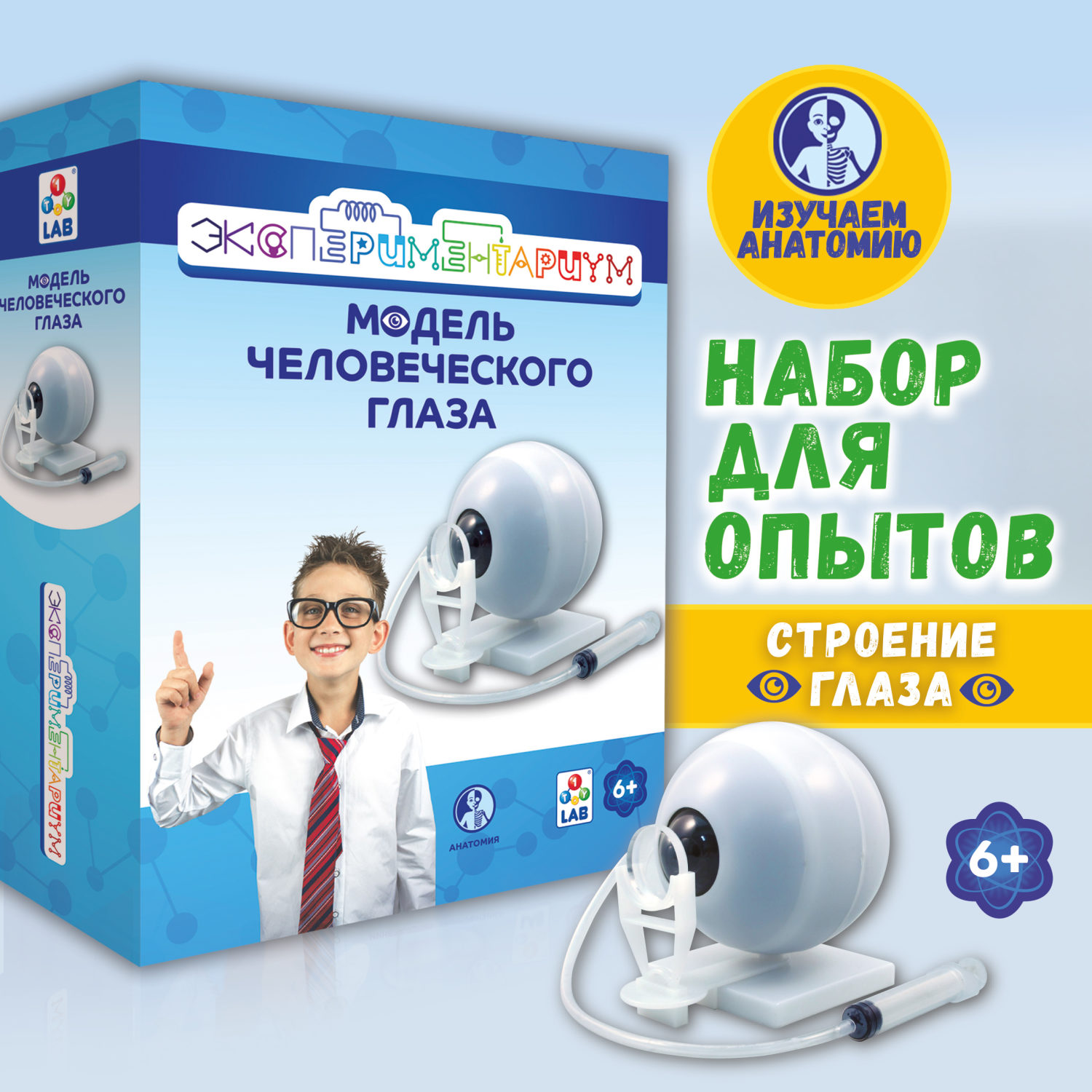 Научный набор для опытов 1TOY ЭКСПЕРИМЕНТАРИУМ Модель глаза, эксперименты для детей, подарок для мальчиков и девочек, интересные штучки, конструктор