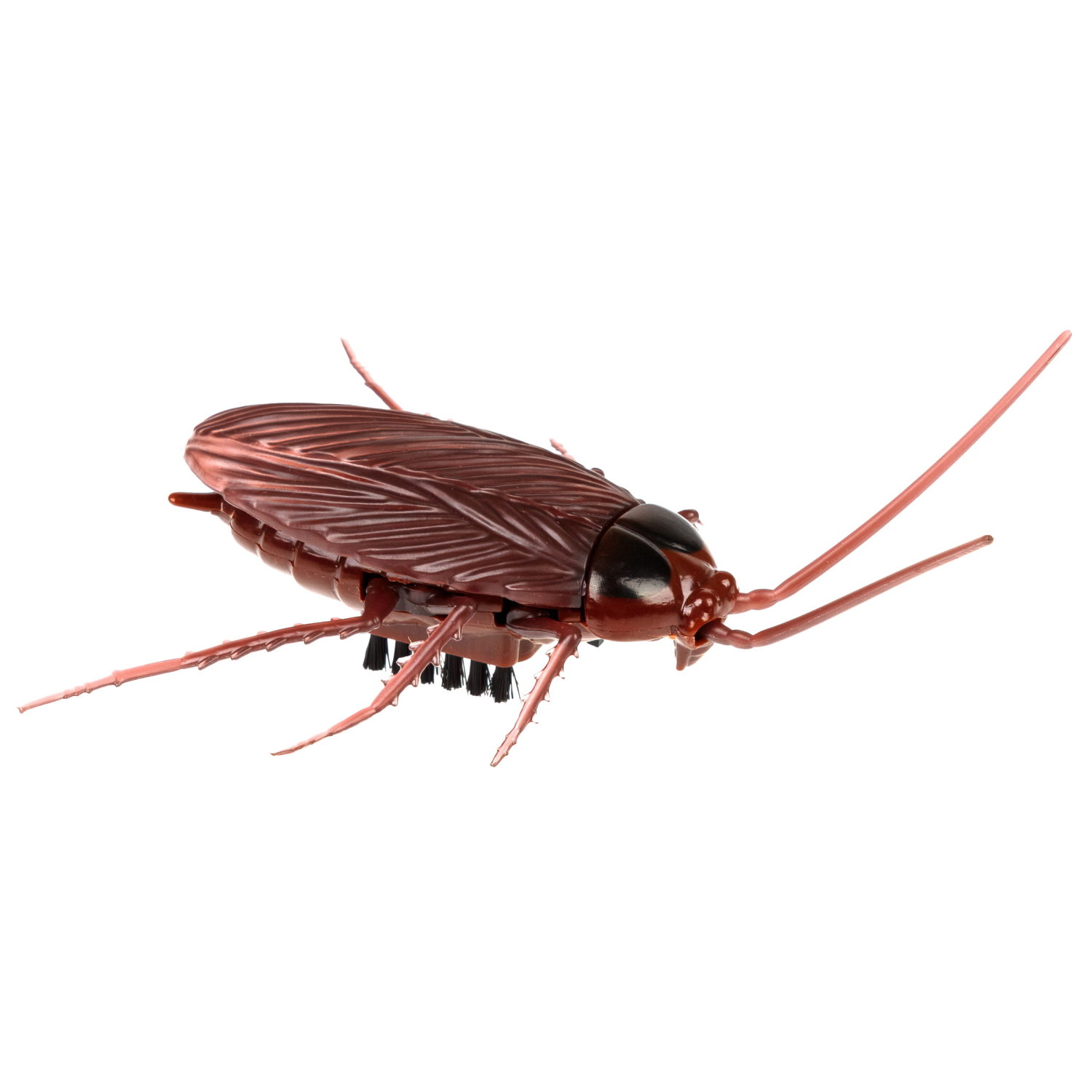 Интерактивная игрушка на батарейках 1TOY Robolife таракан