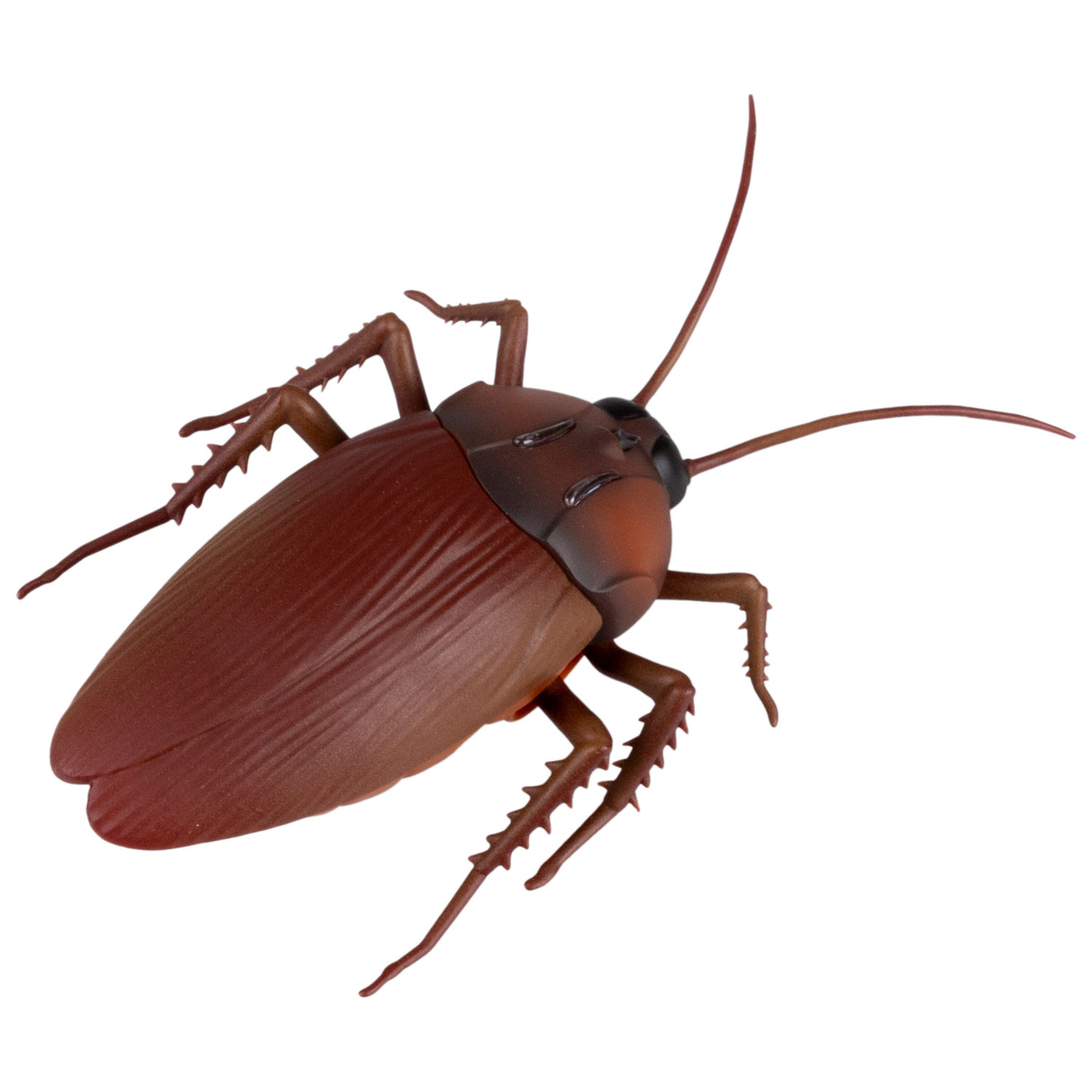 Интерактивная игрушка на батарейках 1TOY Robolife таракан