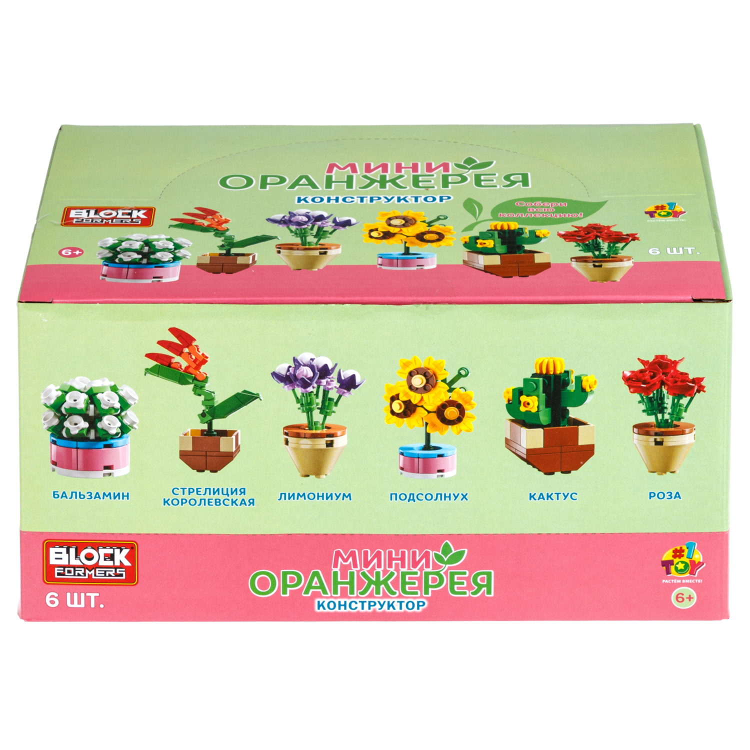 Конструктор 1TOY Blockformers Мини-оранжерея, 6 видов в ассортименте