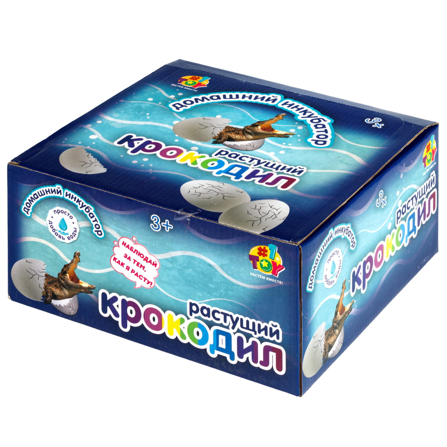 Набор для выращивания 1TOY Домашний инкубатор, растущая игрушка Крокодил