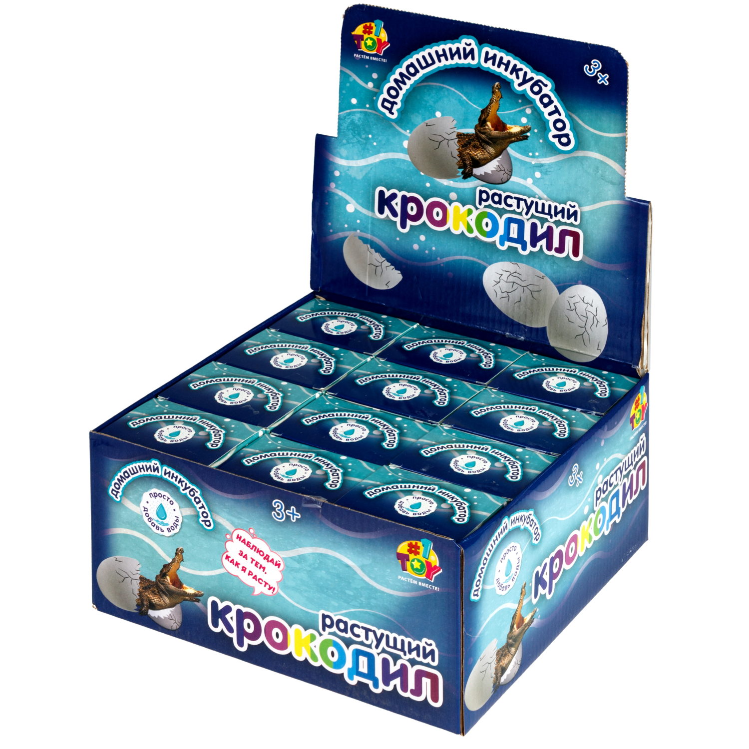 Набор для выращивания 1TOY Домашний инкубатор, растущая игрушка Крокодил