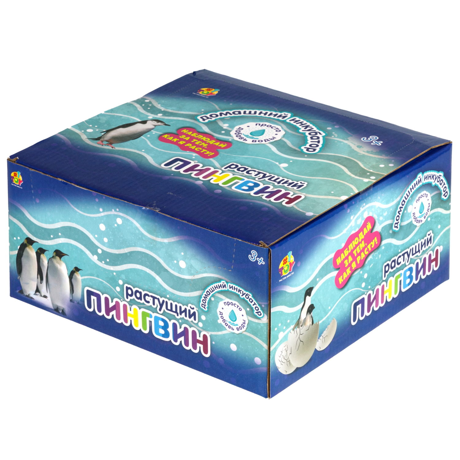 Набор для выращивания 1TOY Домашний инкубатор, растущая игрушка Пингвин