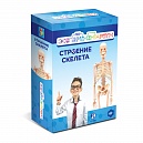ЭКСПЕРИМЕНТАРИУМ Набор "Строение скелета"