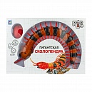 1TOY Игрушка Гигантская сколопендра на ИК управлении, свет.эффекты, USB-зарядка, пульт работает от 3*AG13 бат.(входт в комп), 30,5*21*5см