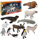 1toy "В мире животных" наб.полярные животные 11шт. в кор. 40*22*5см